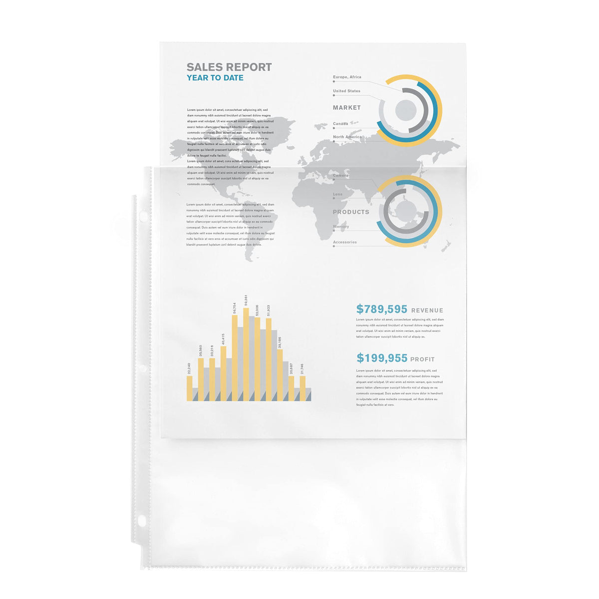 Avery Clear Standard Weight Sheet Protectors, Top Load, 10 Document Protectors (75540)