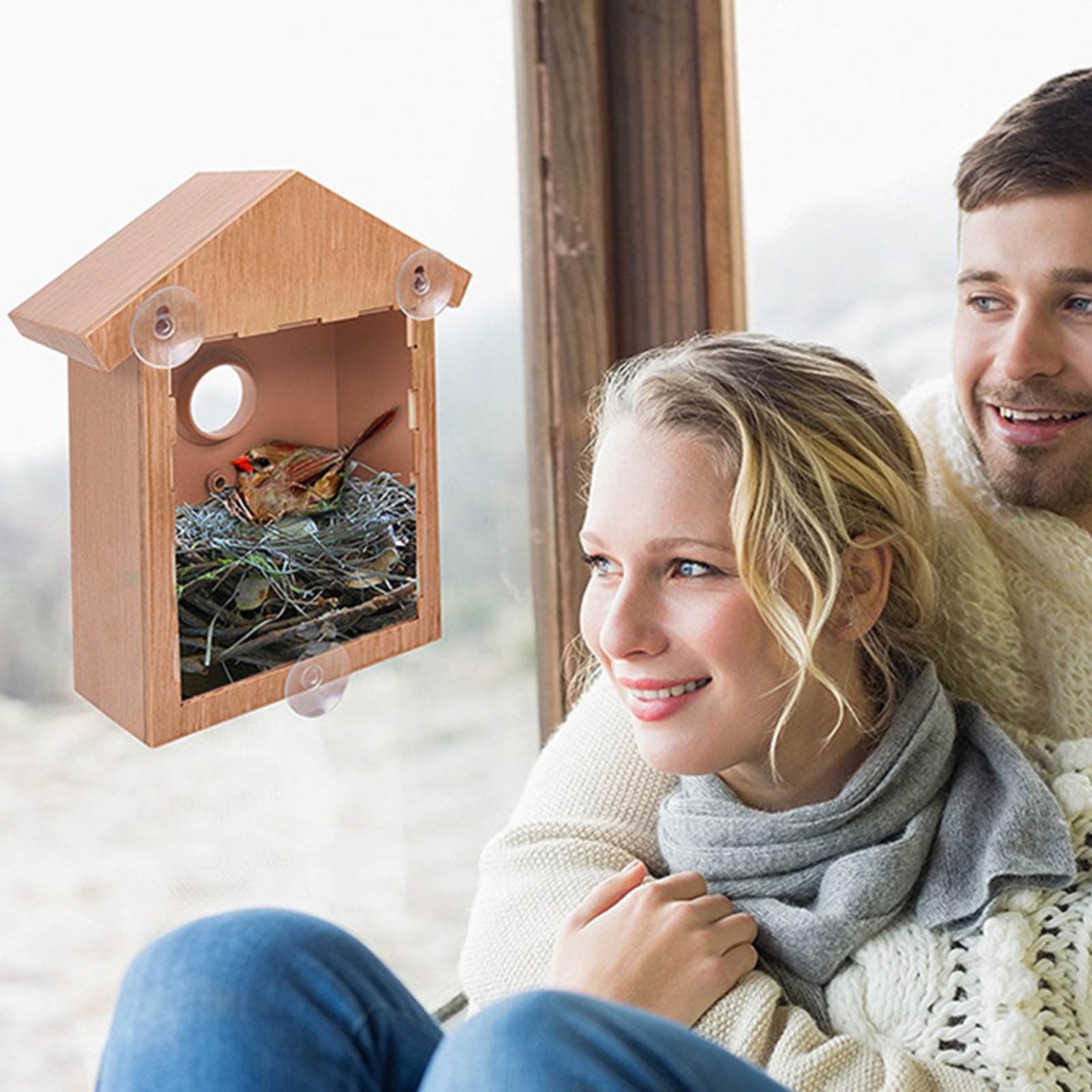 Window Birdhouse Paint Kit, DIY Clear Bird House With Suction Cups, Wo