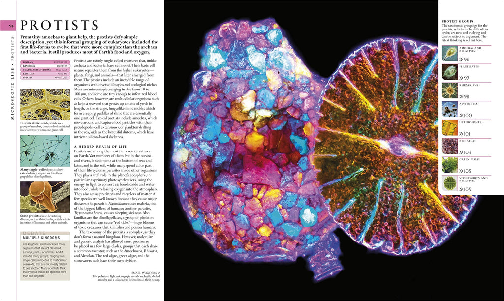 DK Definitive Visual Encyclopedias Natural History, (Hardcover)