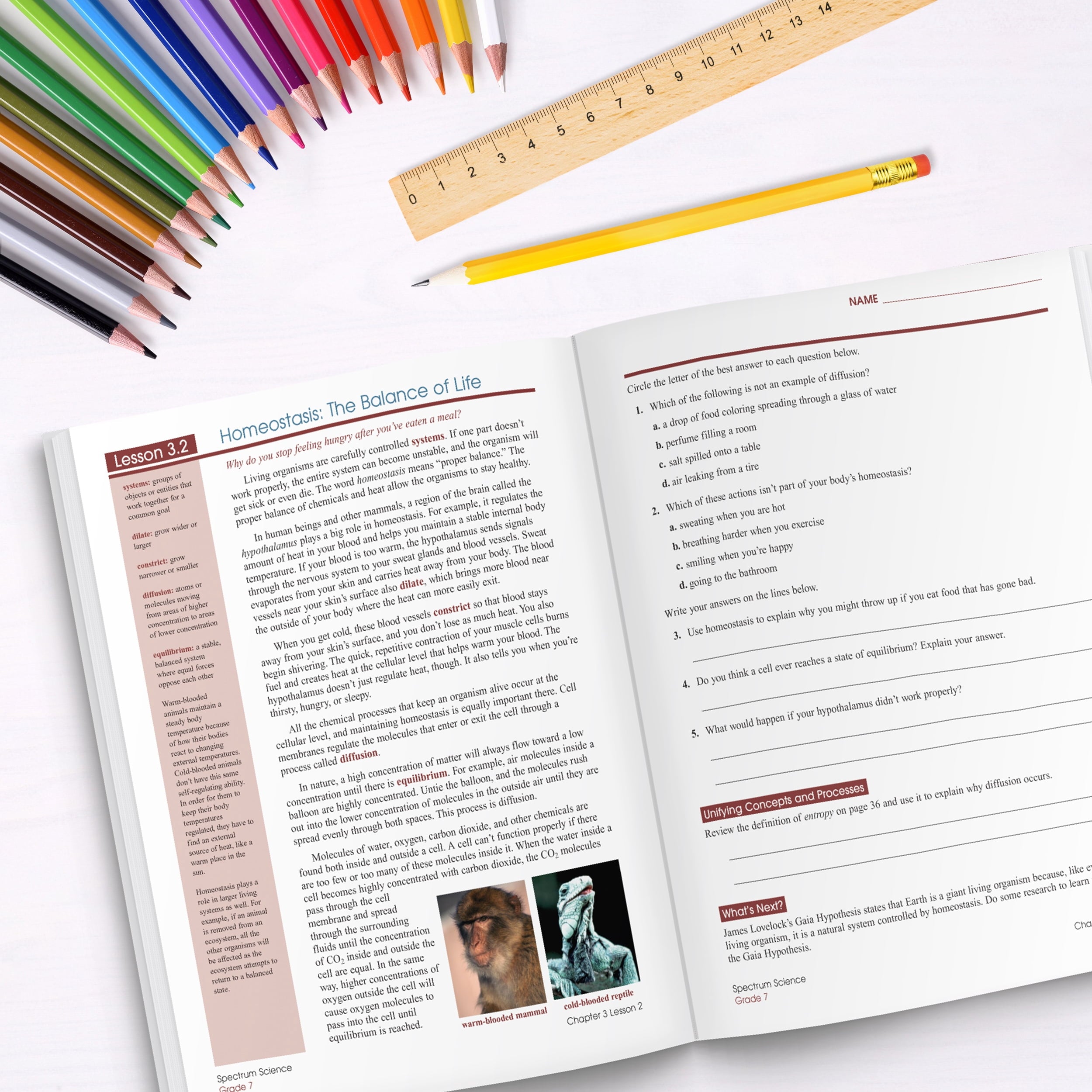 Spectrum Spectrum Science, Grade 7: Volume 59, (Paperback)