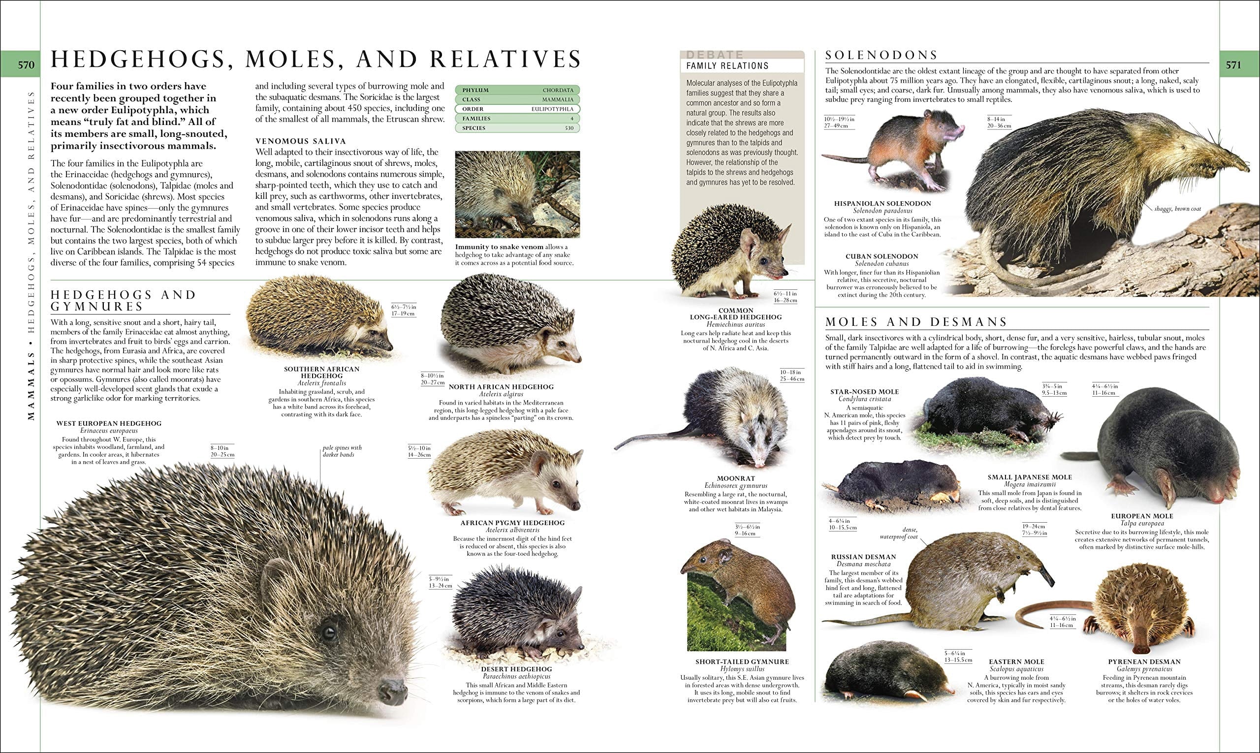 DK Definitive Visual Encyclopedias Natural History, (Hardcover)