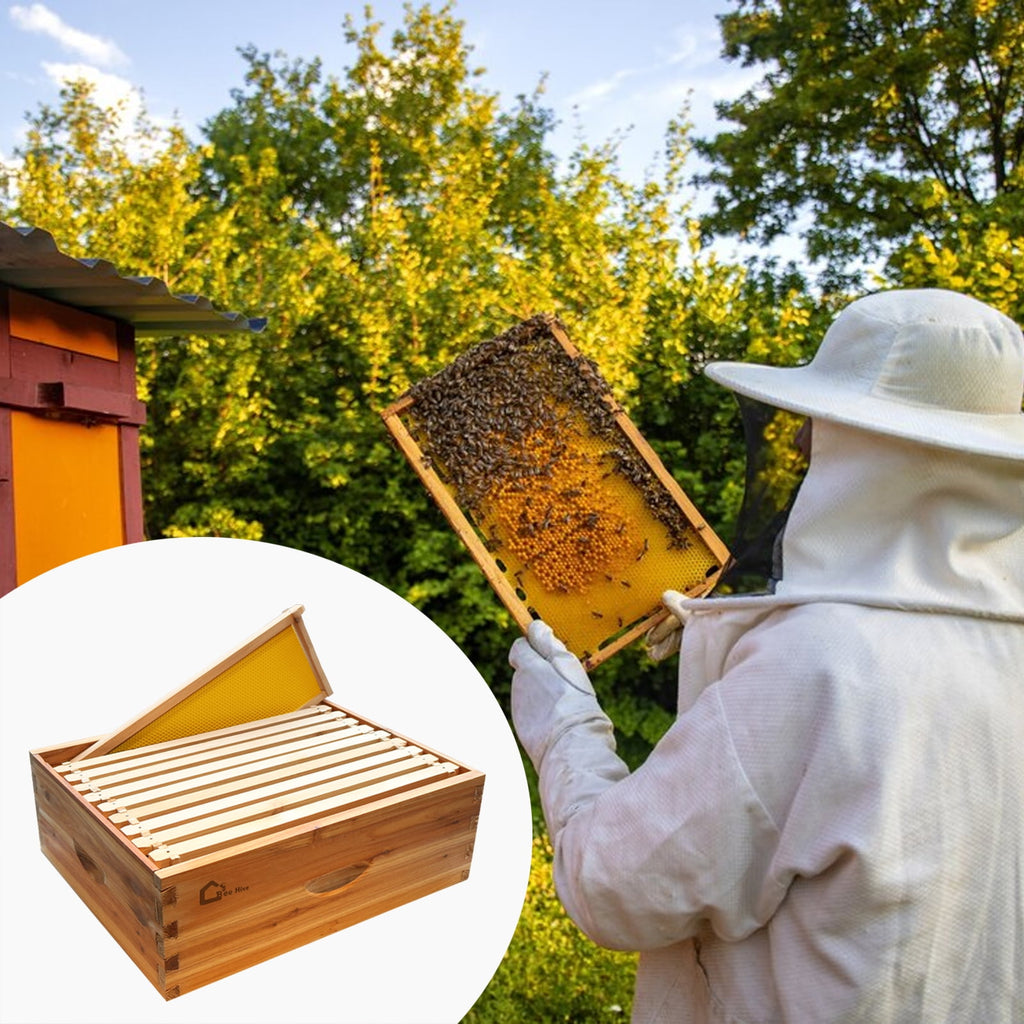 Garderth 10 Frame Beehive,Bee Hive,Weatherproof Cedar Wood Beehive,Pre