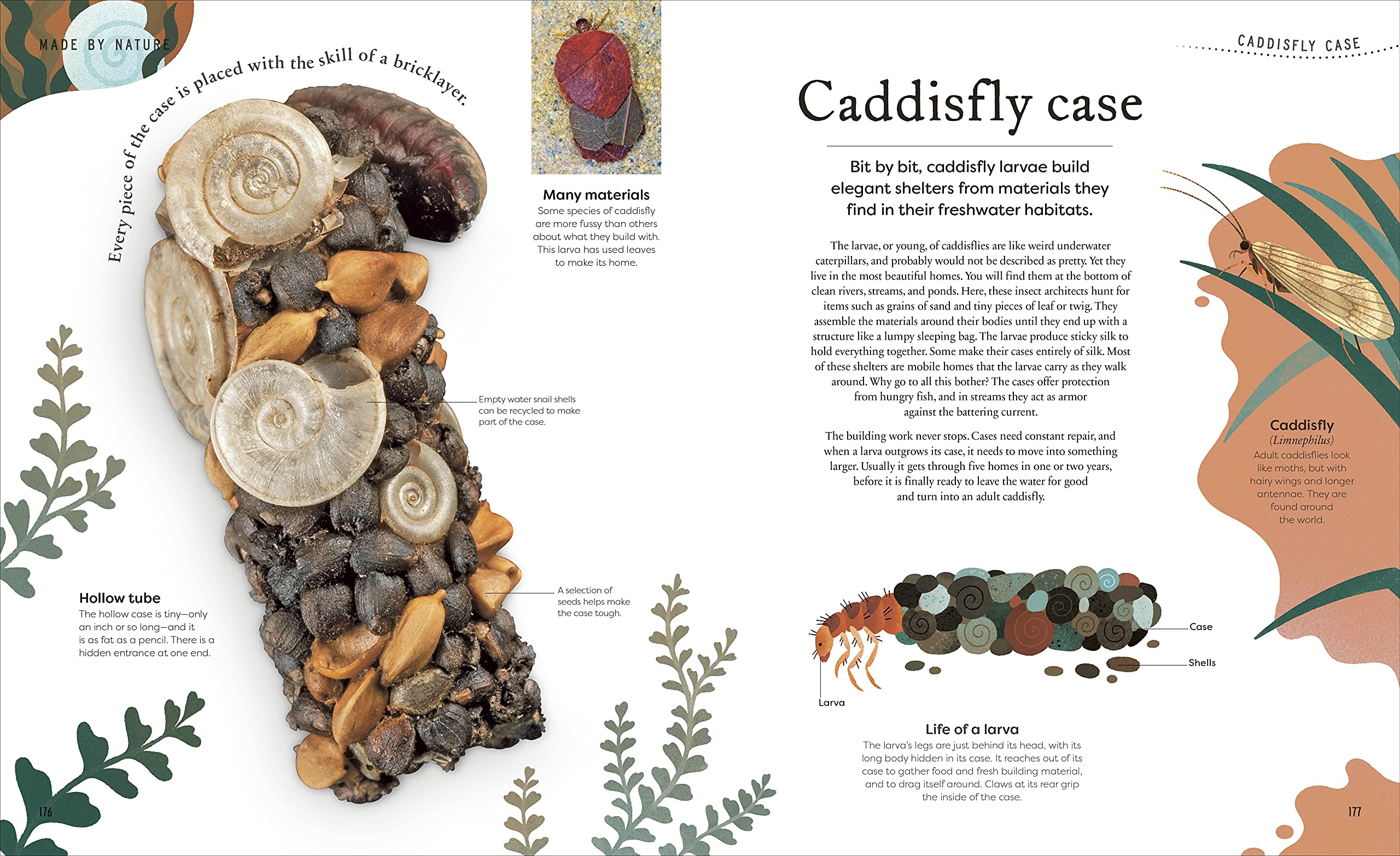 DK Treasures Nature's Treasures: Tales of More Than 100 Extraordinary