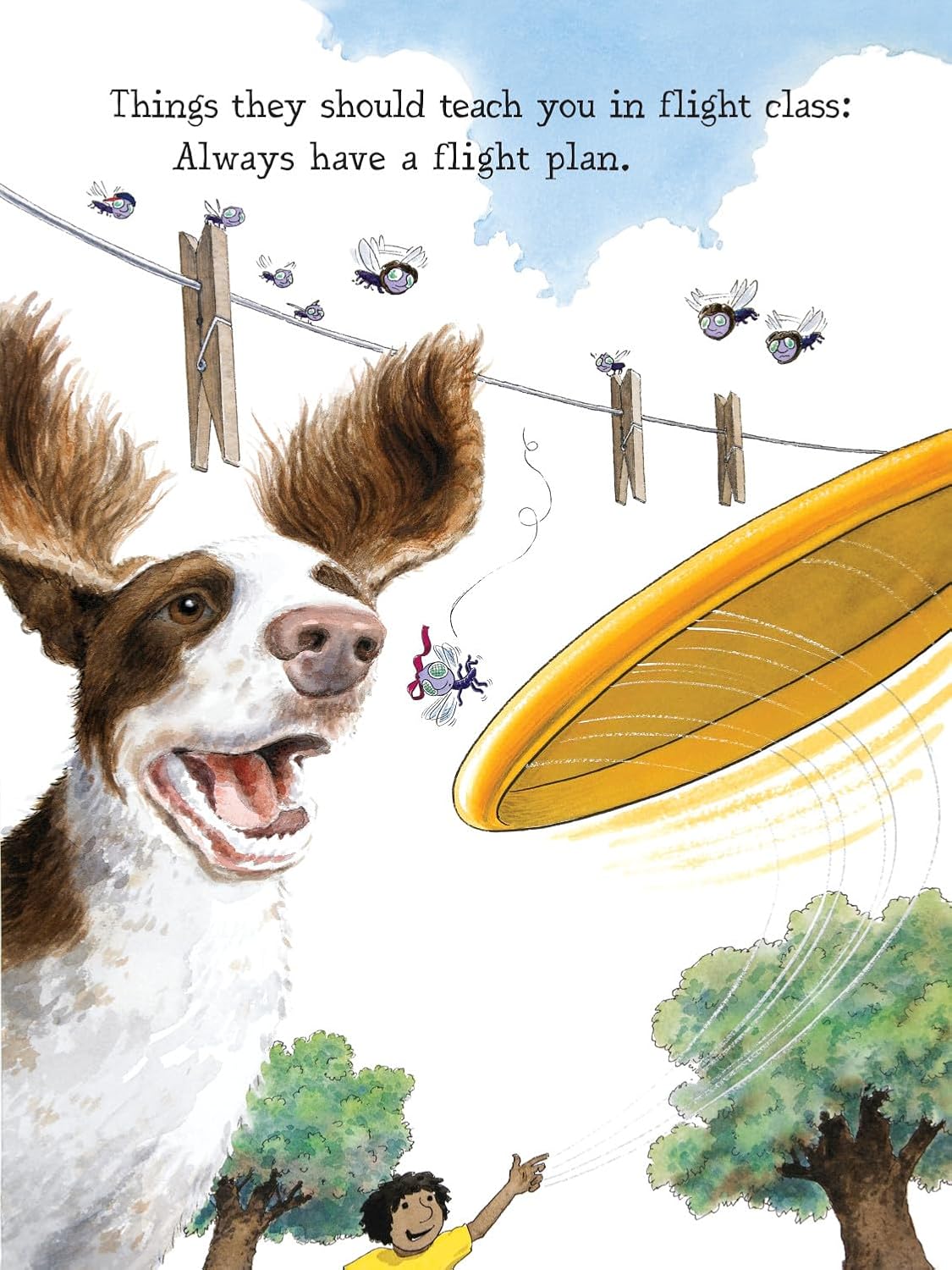 Doreen Cronin: Diary of a Fly (Ages 4–8)