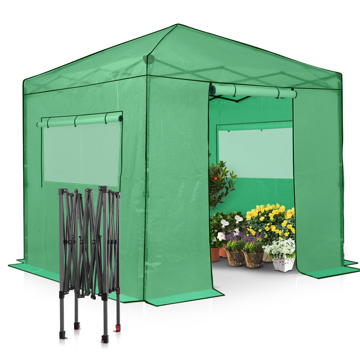 EAGLE PEAK Pop-Up Walk-In Greenhouse (Multiple Sizes)