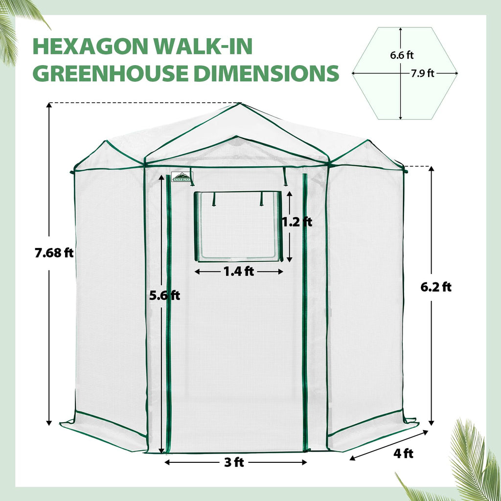 EAGLE PEAK Pop-Up Walk-In Greenhouse (Multiple Sizes)