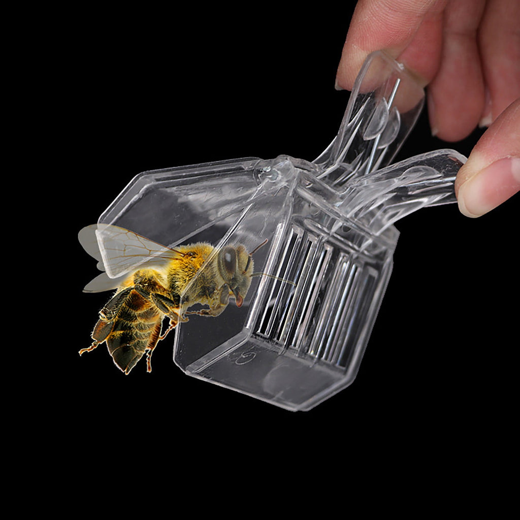 Catcher Cage Beekeeping Tool for Outdoor Indoor Use Book Design Beekee