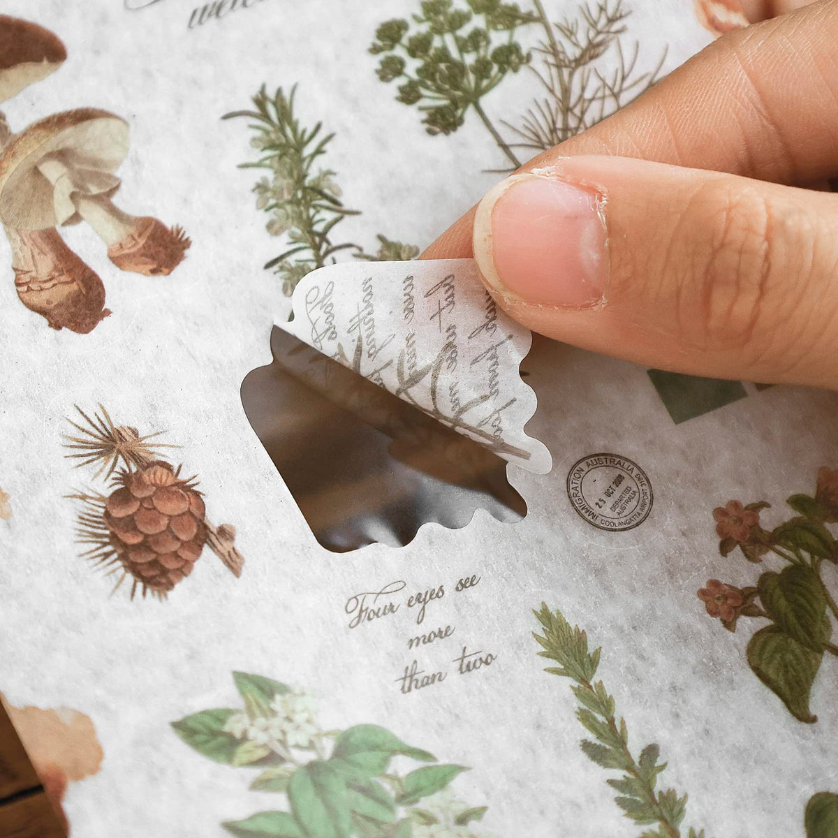 Dizdkizd Nature Botanical Stickers for Journaling, Ephemera Sticker Book, Translucent Washi Sticker for Scrapbooking - 20 Sheets (200 Pieces)