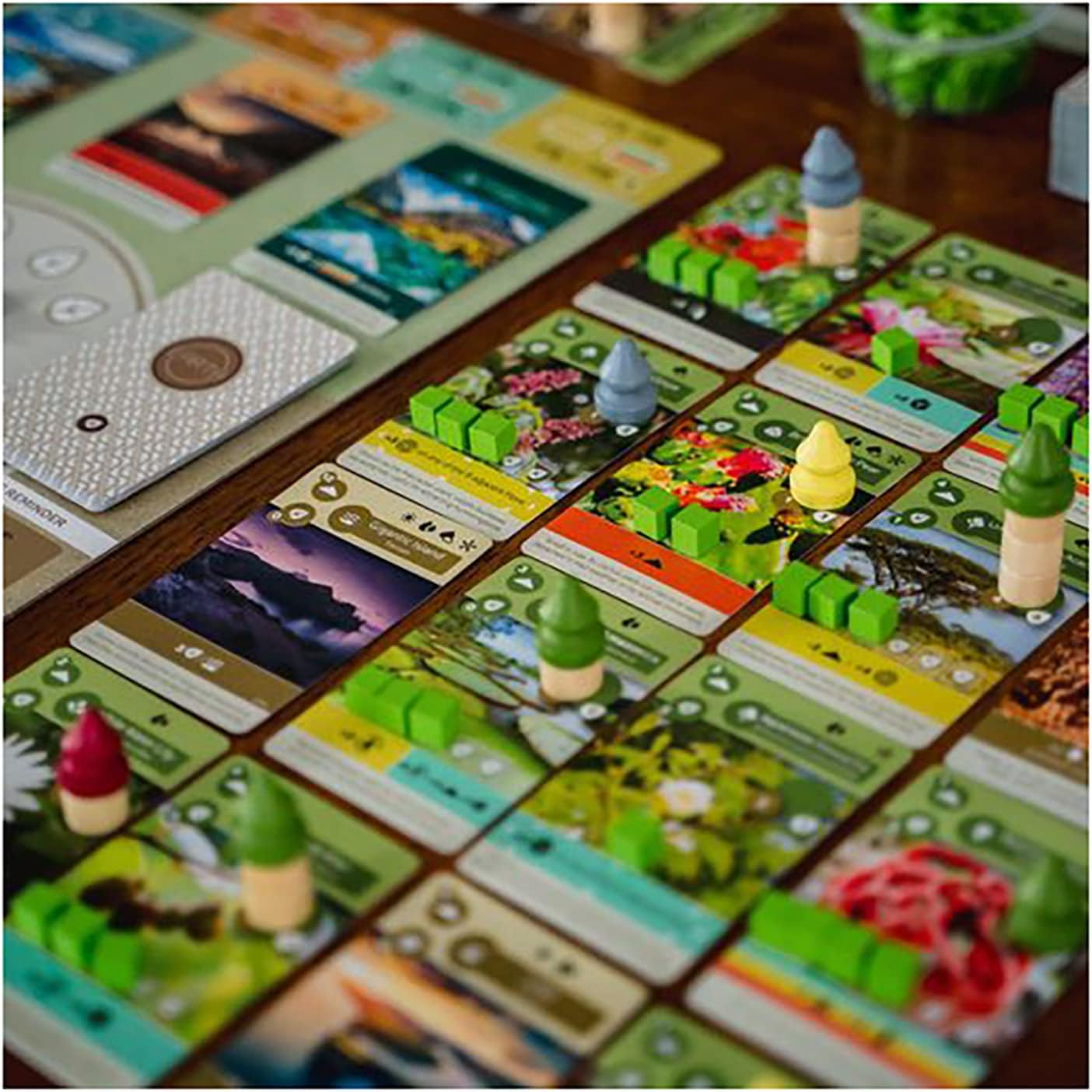Inside Up Games: Earth — Ecosystem Engine-Building Board Game (Ages 13+)