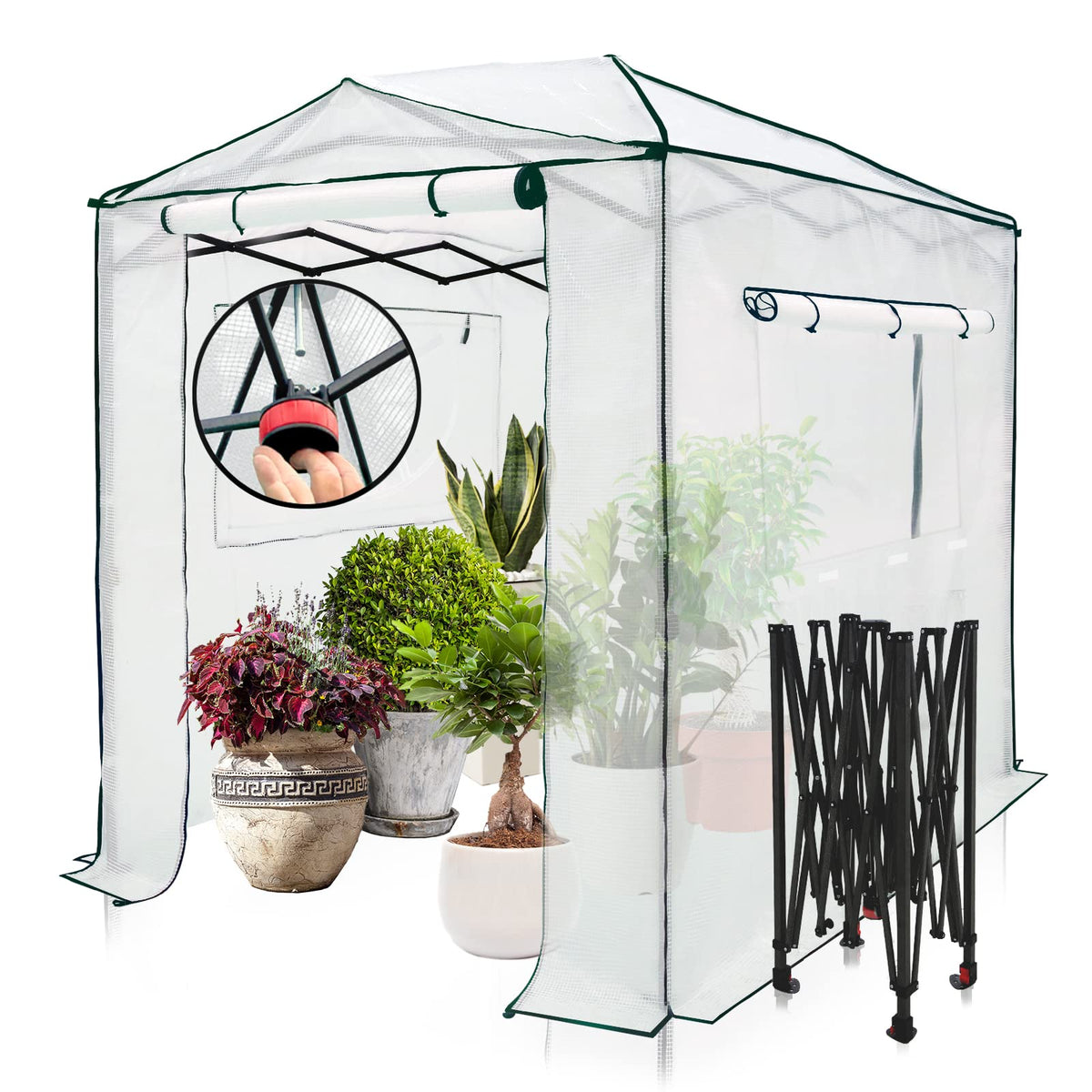EAGLE PEAK Pop-Up Walk-In Greenhouse (Multiple Sizes)