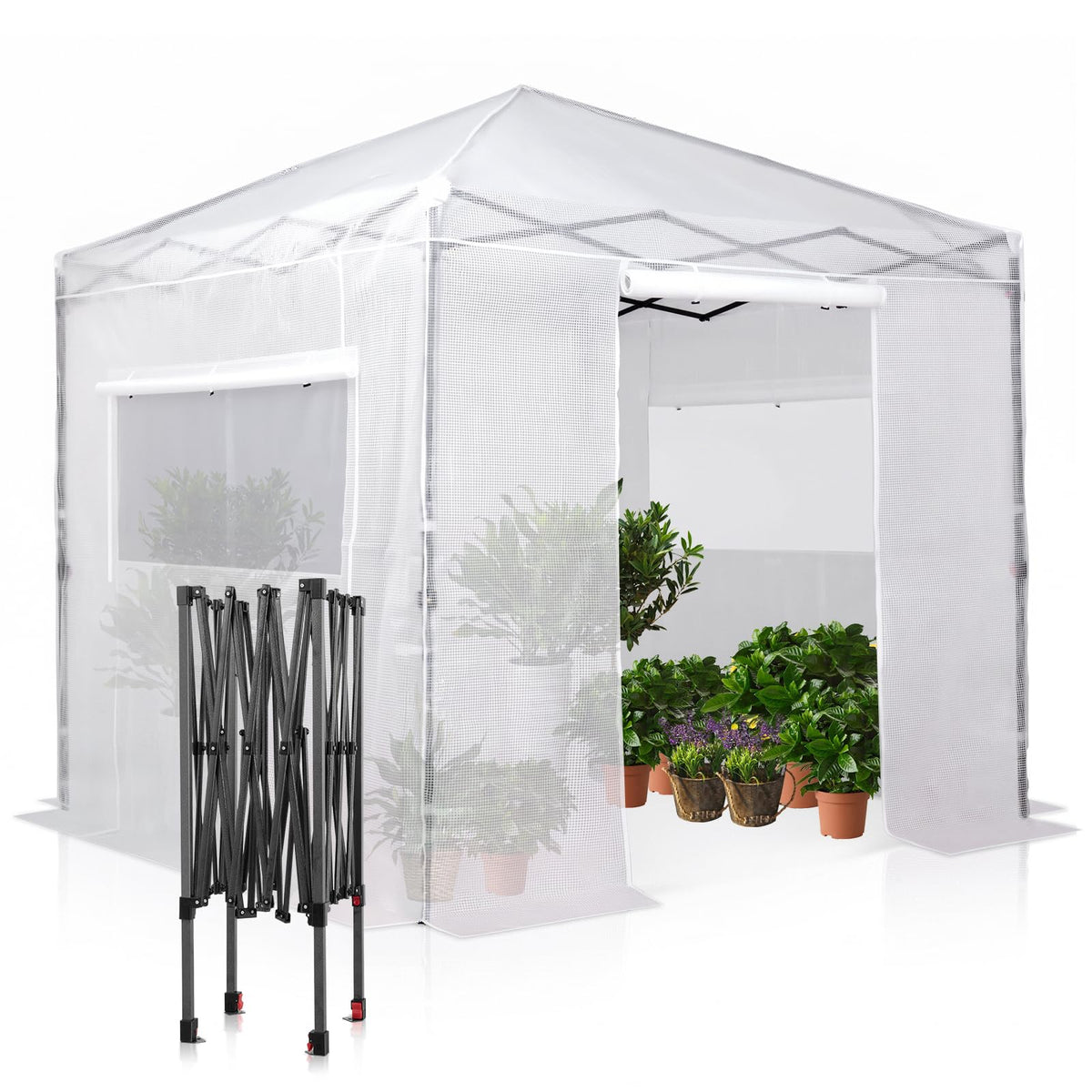 EAGLE PEAK Pop-Up Walk-In Greenhouse (Multiple Sizes)