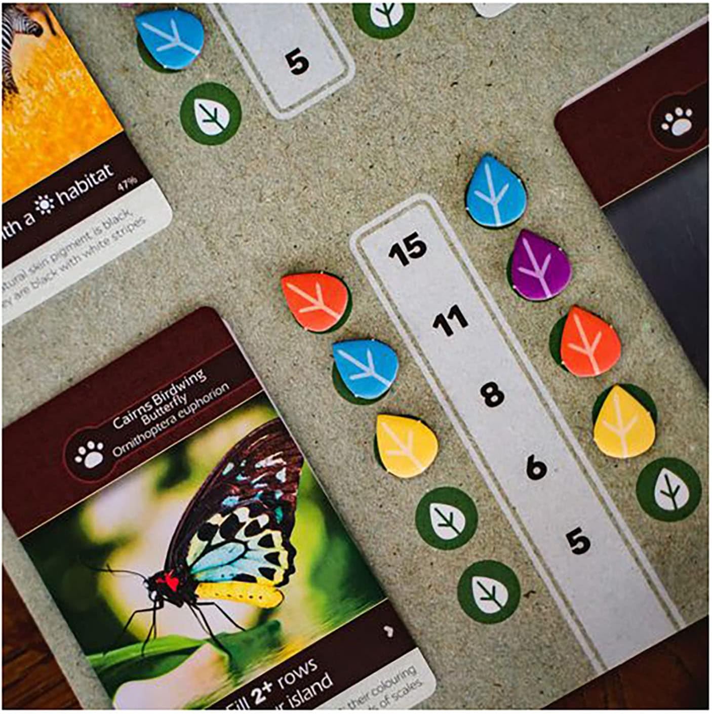 Inside Up Games: Earth — Ecosystem Engine-Building Board Game (Ages 13+)