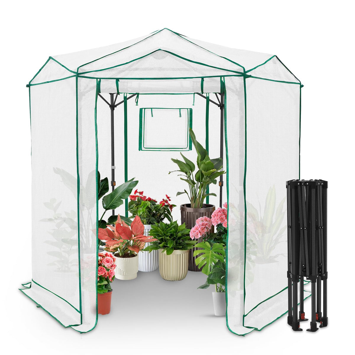 EAGLE PEAK Pop-Up Walk-In Greenhouse (Multiple Sizes)