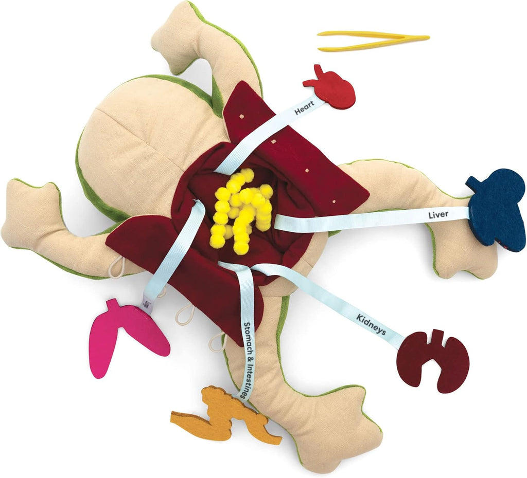 KiwiCo Froggie Lab Dissection Plush Animal Toy 5-Piece Anatomy Set, Ages 3+