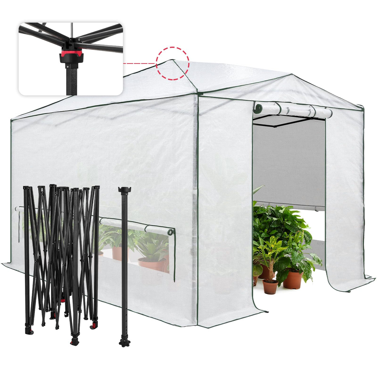 EAGLE PEAK Pop-Up Walk-In Greenhouse (Multiple Sizes)
