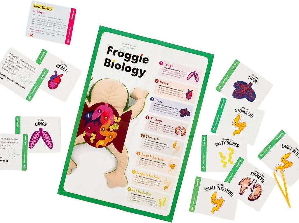 KiwiCo Froggie Lab Dissection Plush Animal Toy 5-Piece Anatomy Set, Ages 3+
