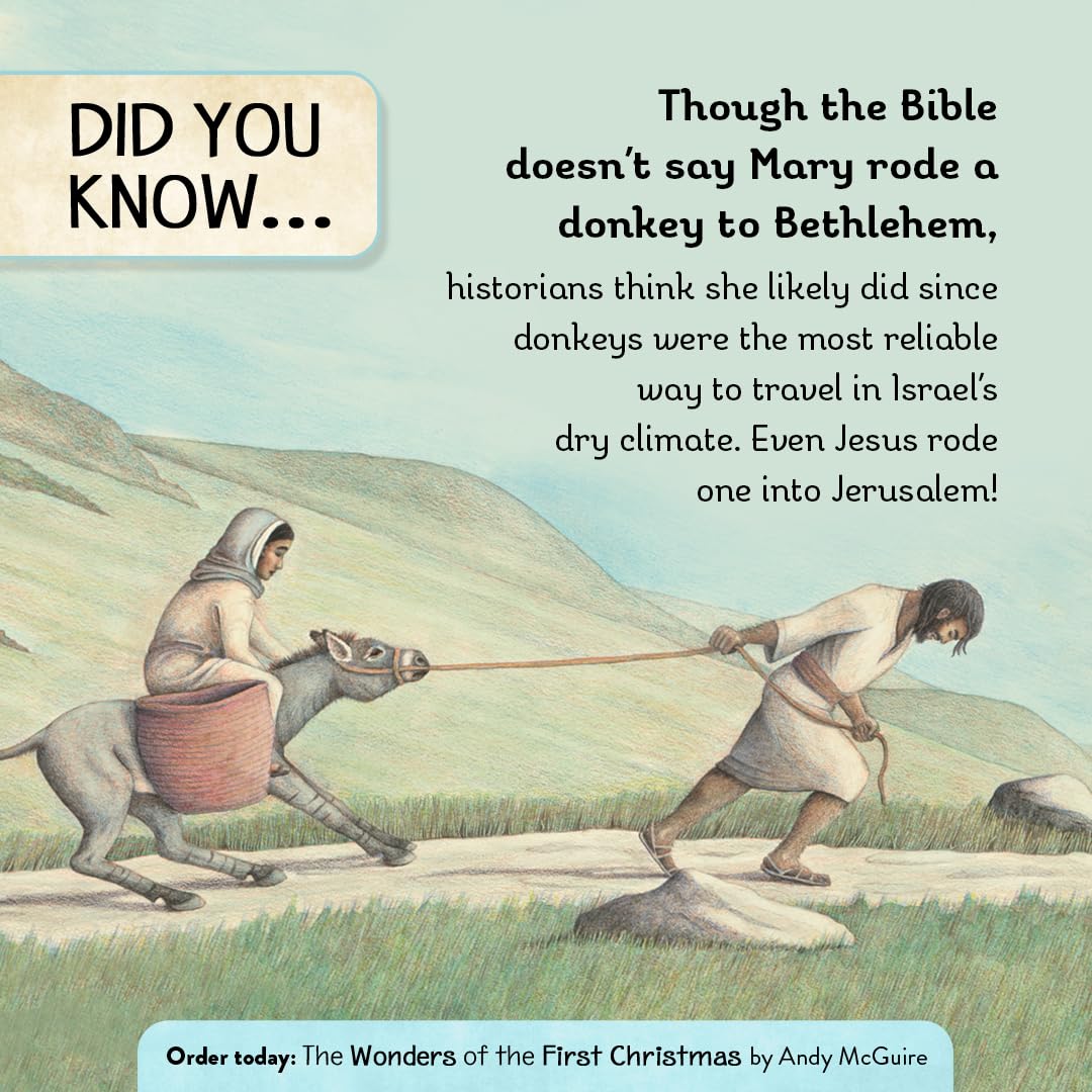 The Wonders of the First Christmas: Explore the Birth of Jesus through History, Archaeology, and Art
