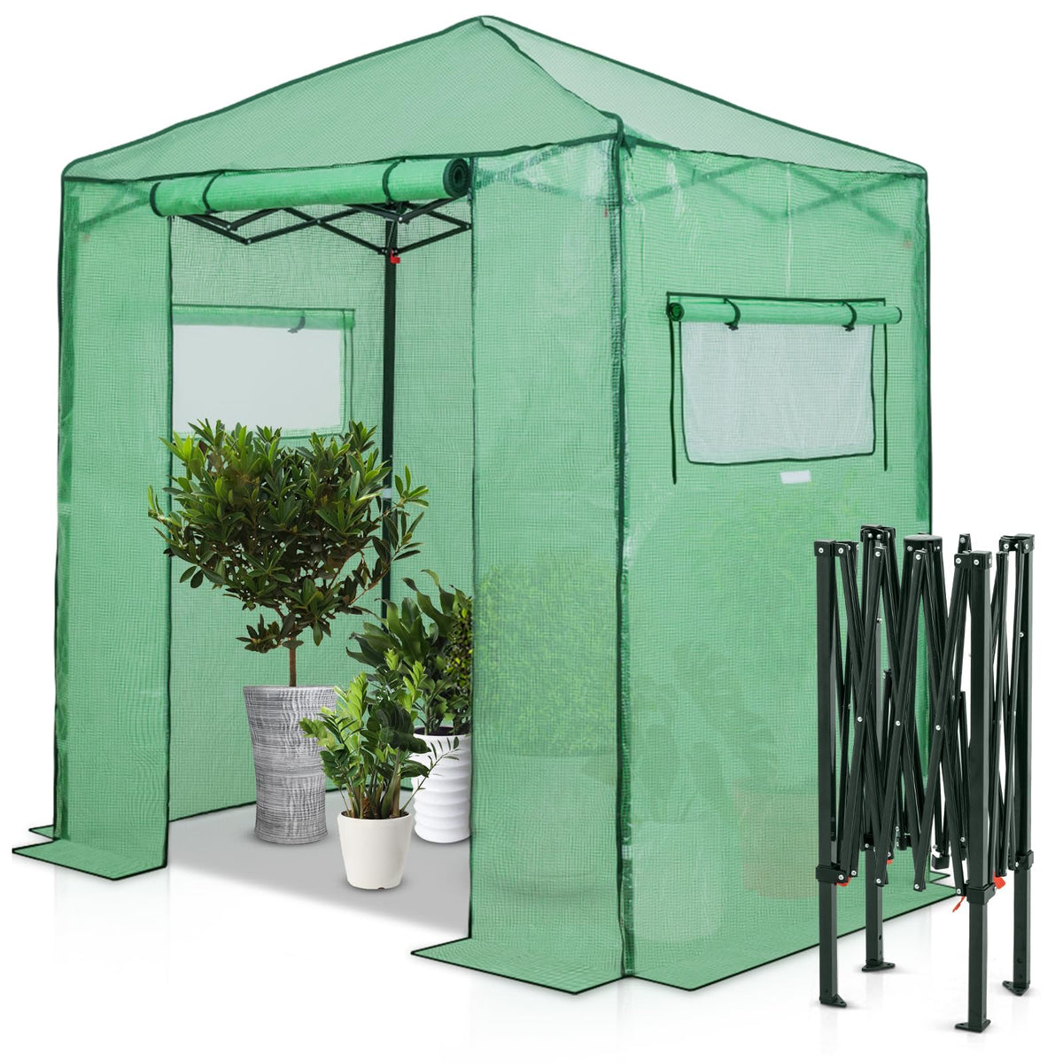 EAGLE PEAK Pop-Up Walk-In Greenhouse (Multiple Sizes)