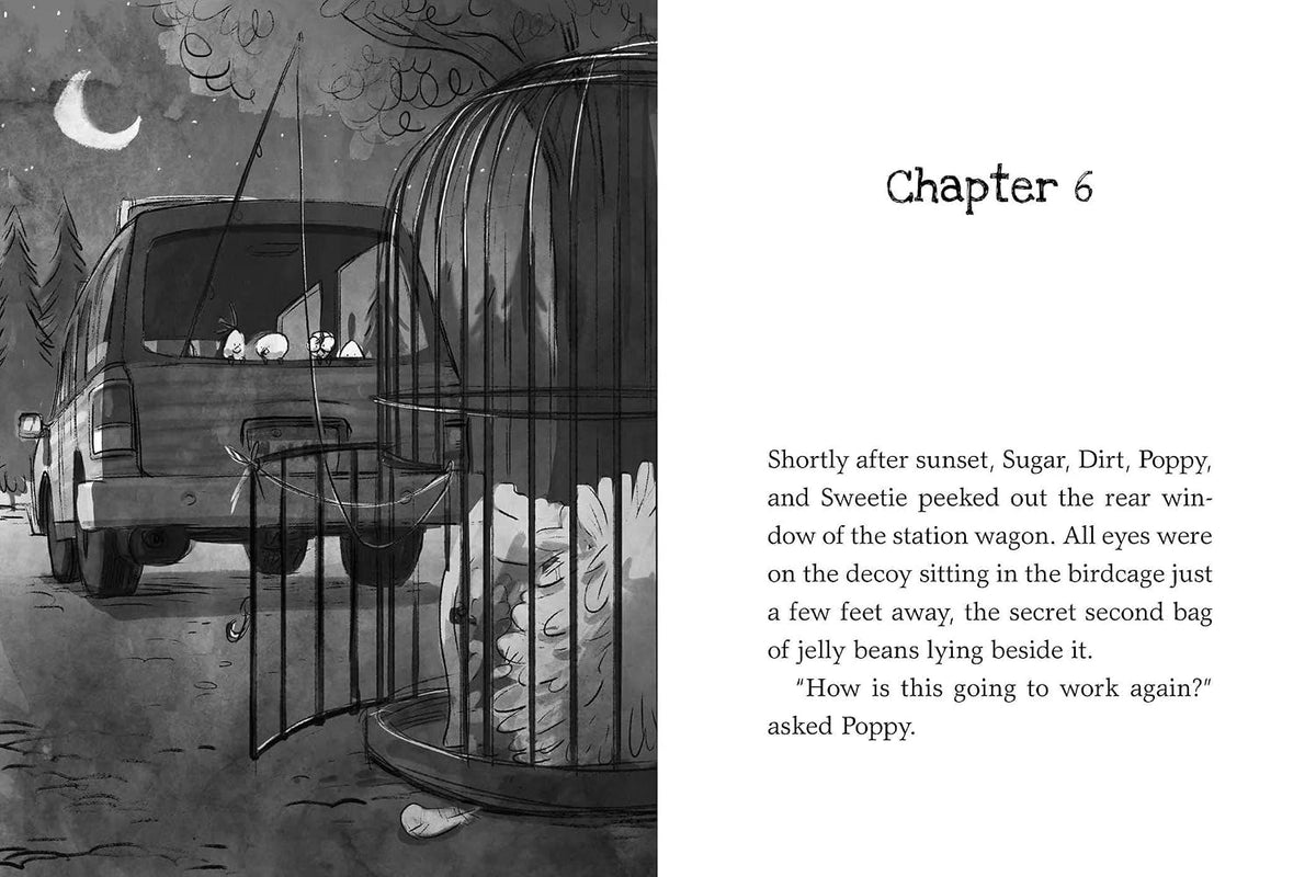 Doreen Cronin: Dark Shadows (Chicken Squad Book 4, Grades 2–5)
