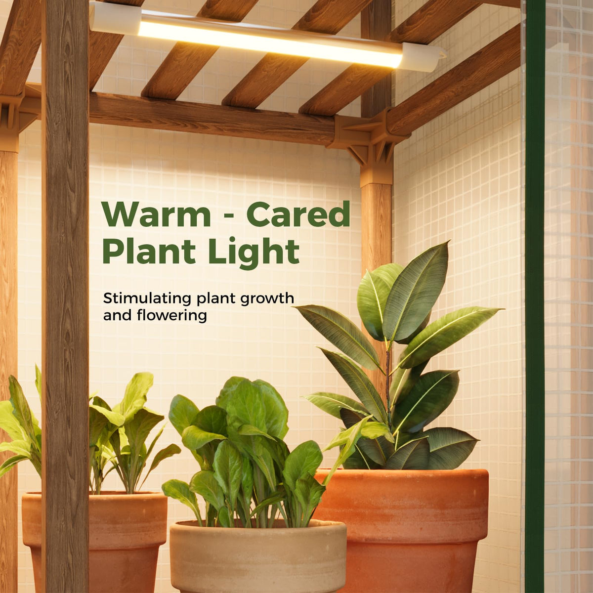 Bamworld 2- and 3-Tier Mini Greenhouse with Optional Grow Light