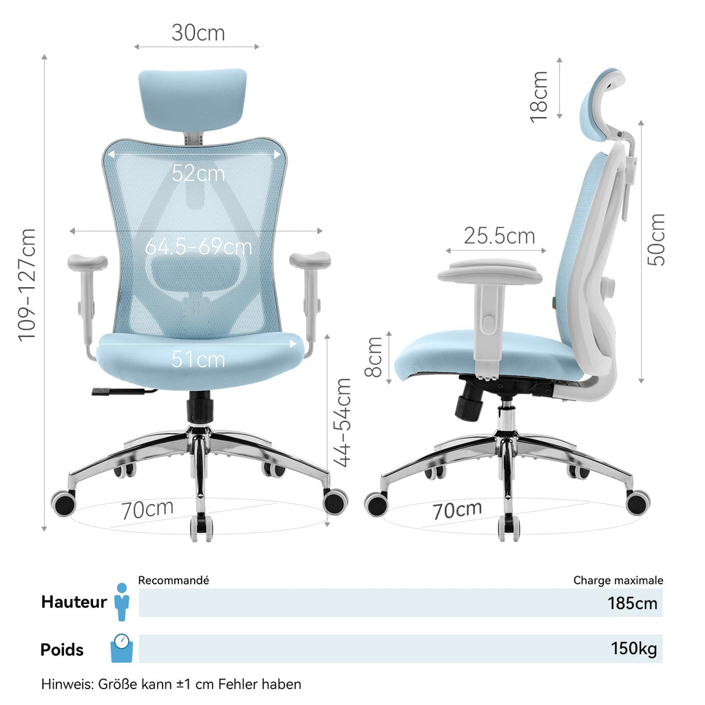 SIHOO M18 Ergonomic Office Chair, Mesh Back Desk Chair with Headrest