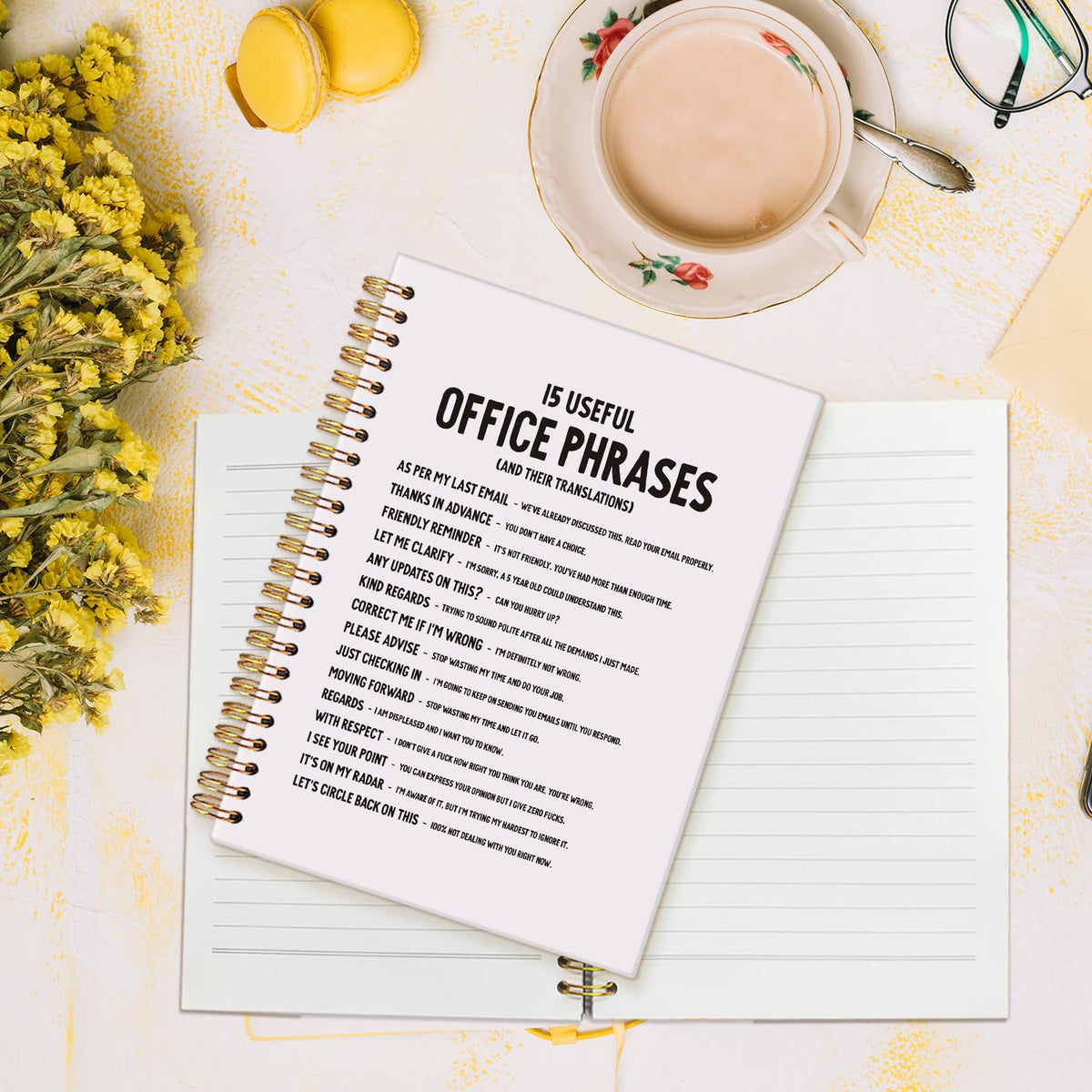 Funny Black Cat Spiral Notebook,Office Notebooks for Work