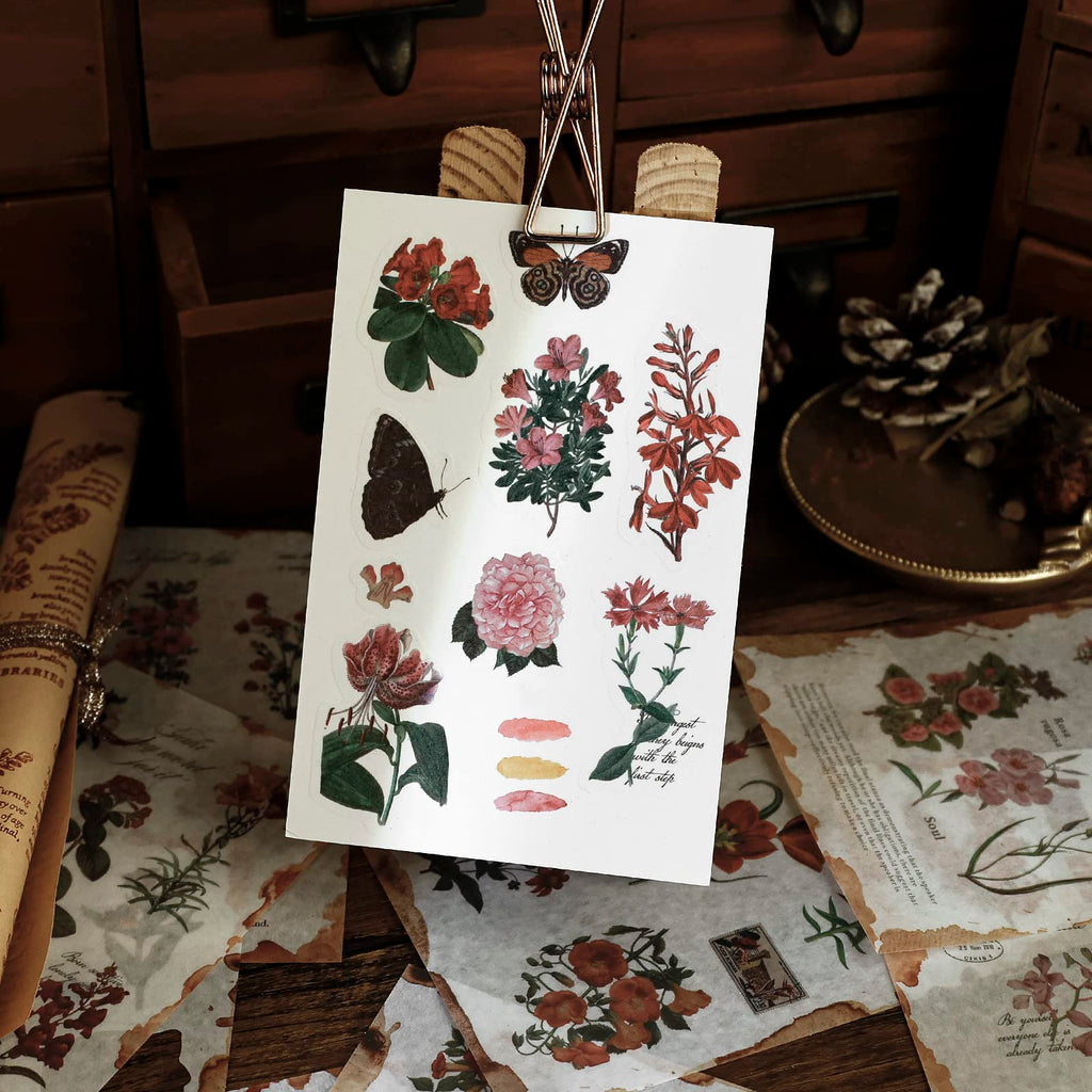 Dizdkizd Nature Botanical Stickers for Journaling, Ephemera Sticker Book, Translucent Washi Sticker for Scrapbooking - 20 Sheets (200 Pieces)