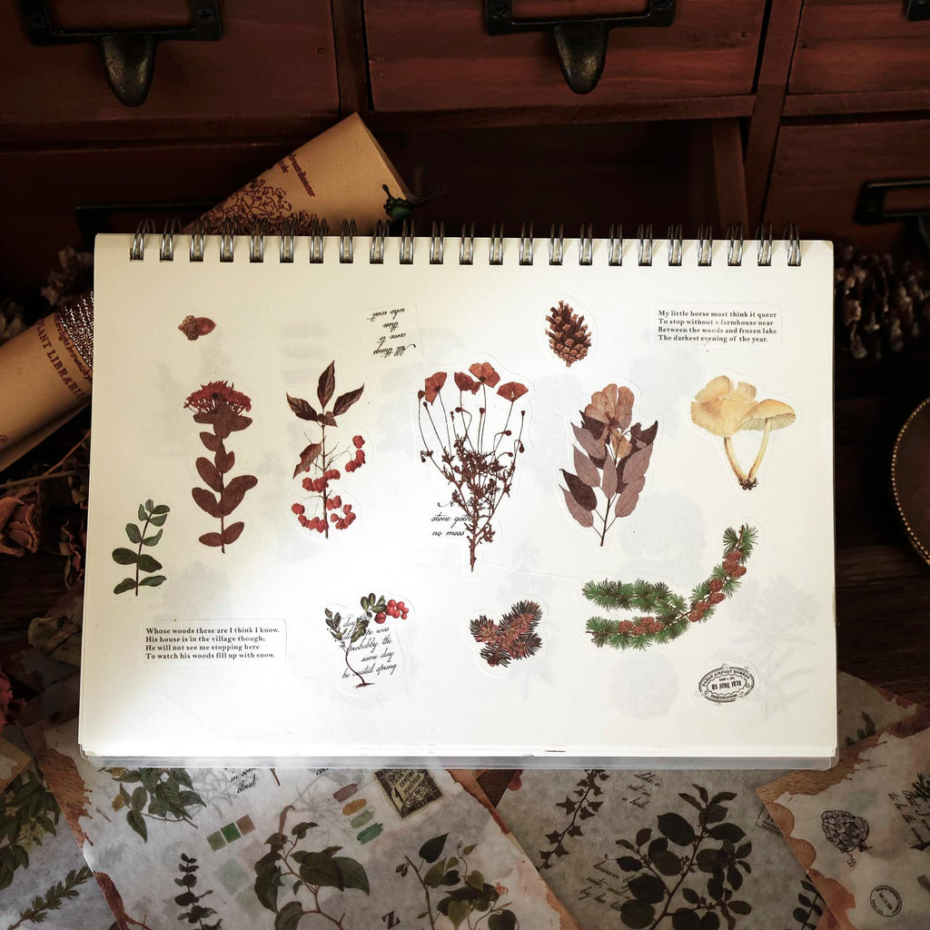 Dizdkizd Nature Botanical Stickers for Journaling, Ephemera Sticker Book, Translucent Washi Sticker for Scrapbooking - 20 Sheets (200 Pieces)