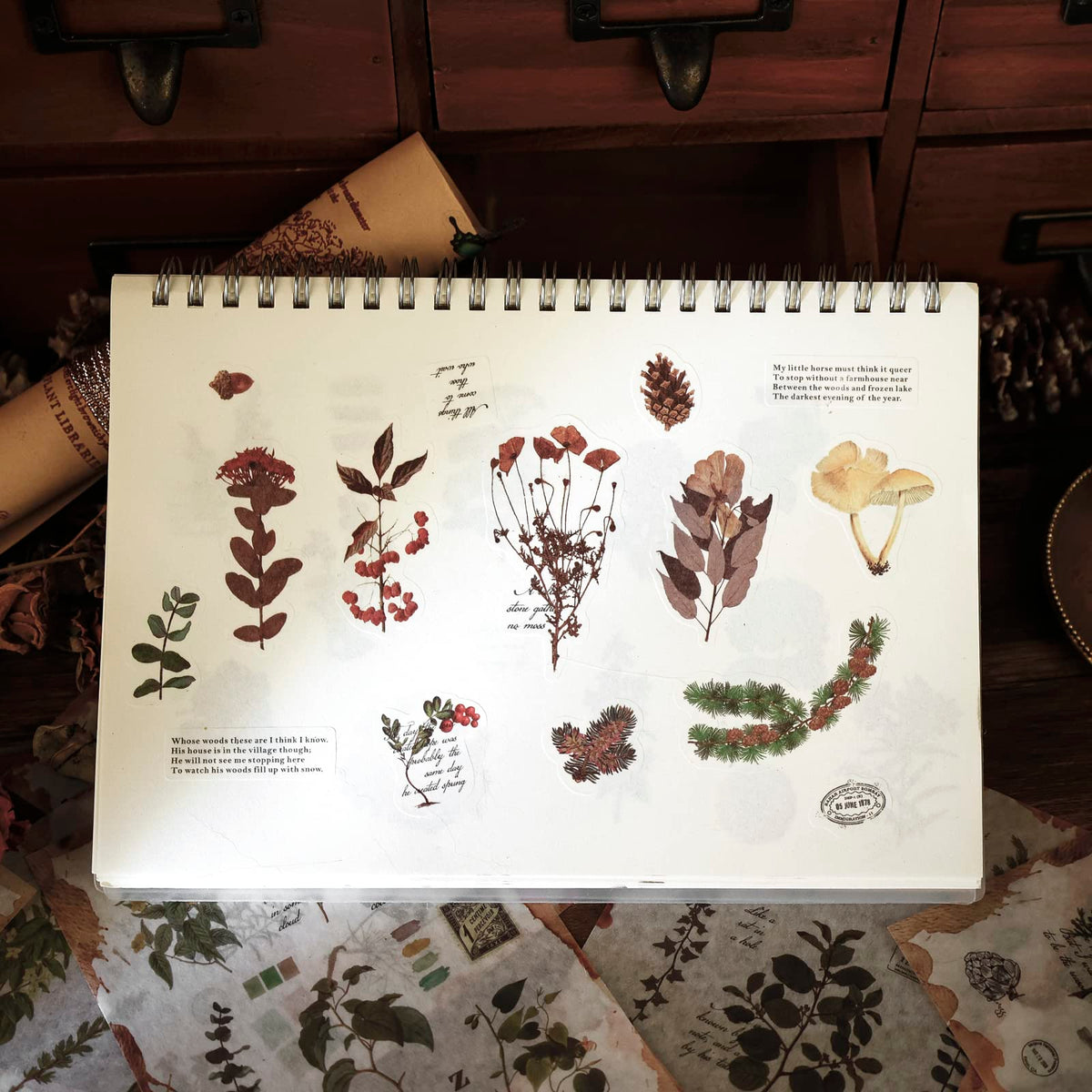 Dizdkizd Nature Botanical Stickers for Journaling, Ephemera Sticker Book, Translucent Washi Sticker for Scrapbooking - 20 Sheets (200 Pieces)