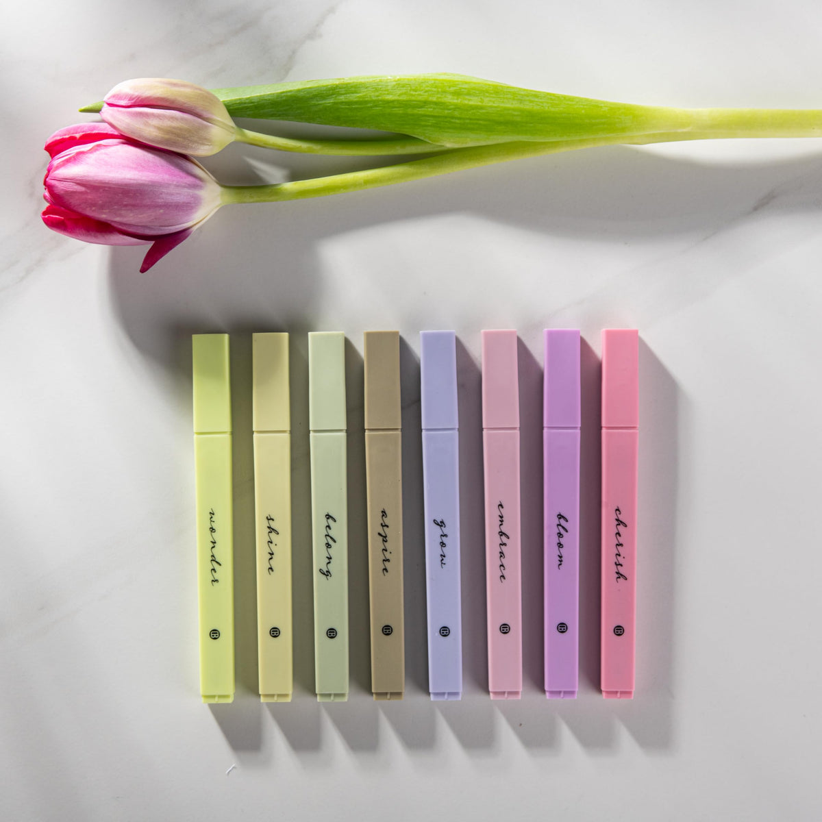 DIVERSEBEE Bible Highlighters with Soft Chisel Tip, No Bleed (Pastel)