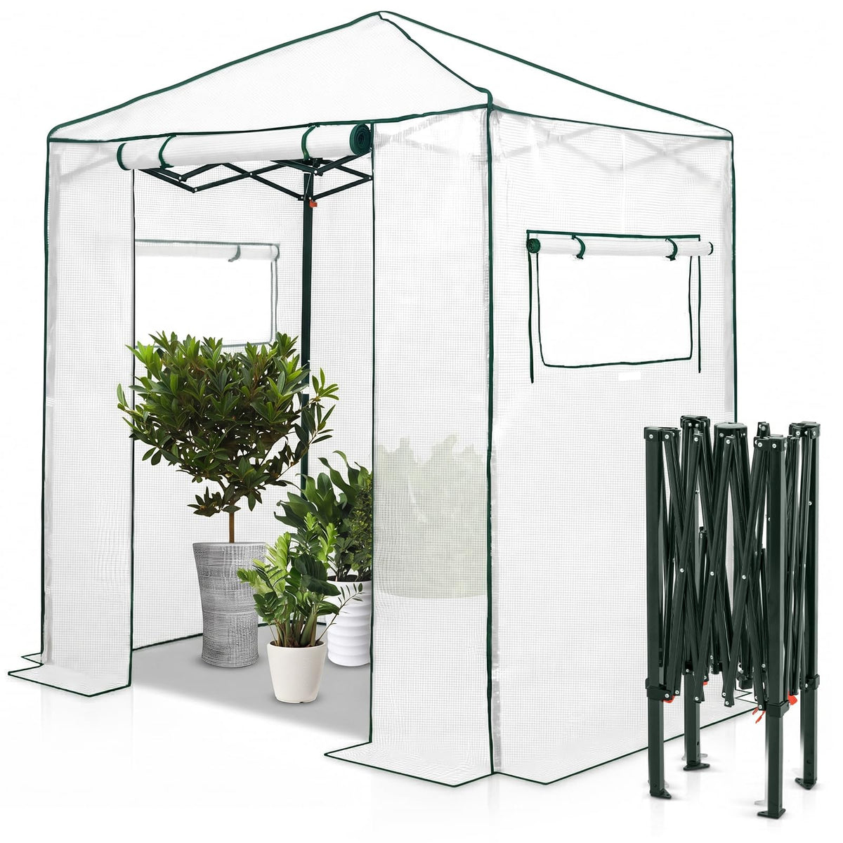 EAGLE PEAK Pop-Up Walk-In Greenhouse (Multiple Sizes)