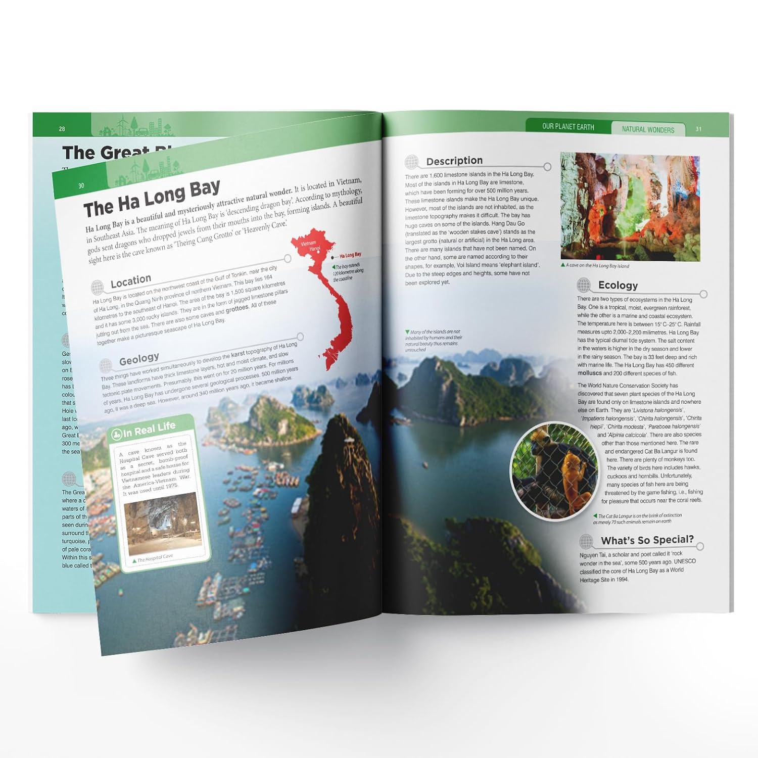 Wonder House Books: Knowledge Encyclopedia Our Planet Earth — Collection of 6 Books (Ages 7+)