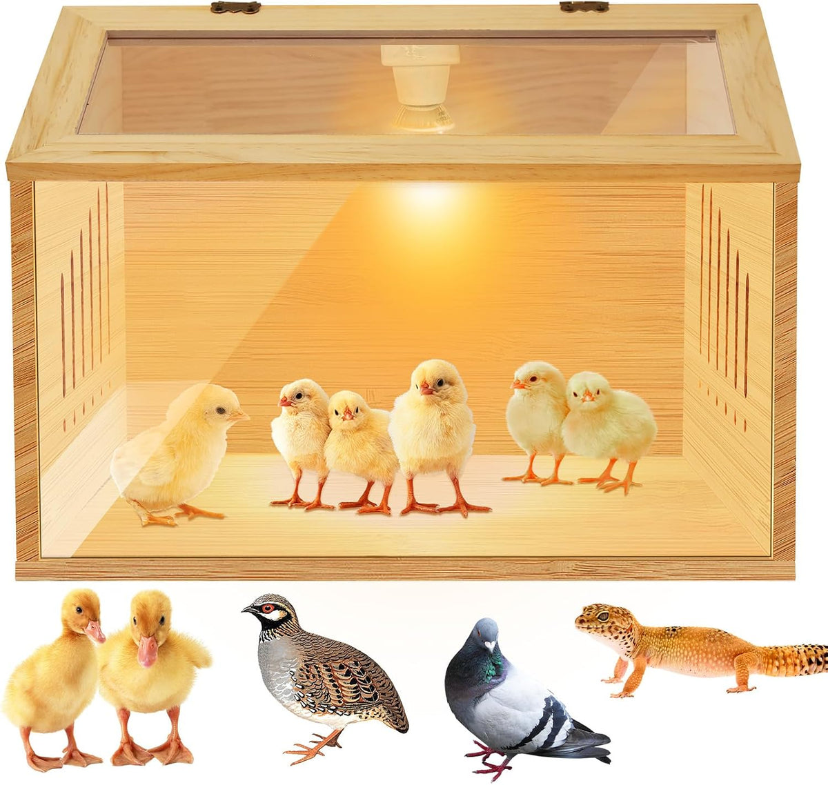 Brooder Box for Chicks，Indoor Smart Wooden Poultry Brooder with Heater, Suitable for 5-7 Newborn Chicks, Ducks, Quail, etc.（12 * 12 * 15.7inch）