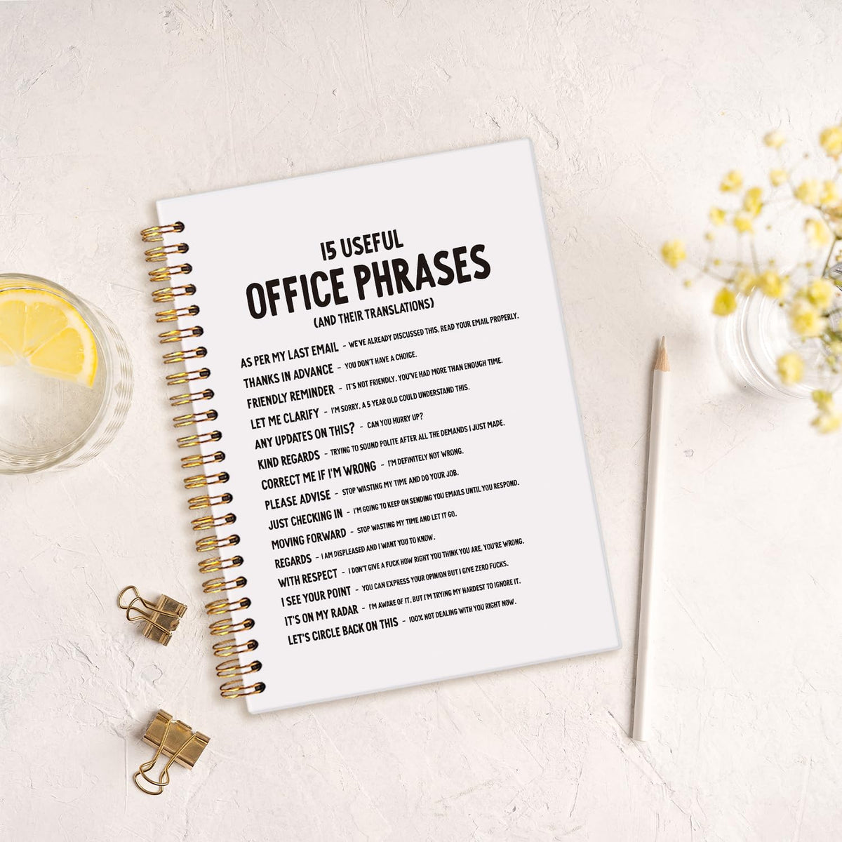 Funny Black Cat Spiral Notebook,Office Notebooks for Work