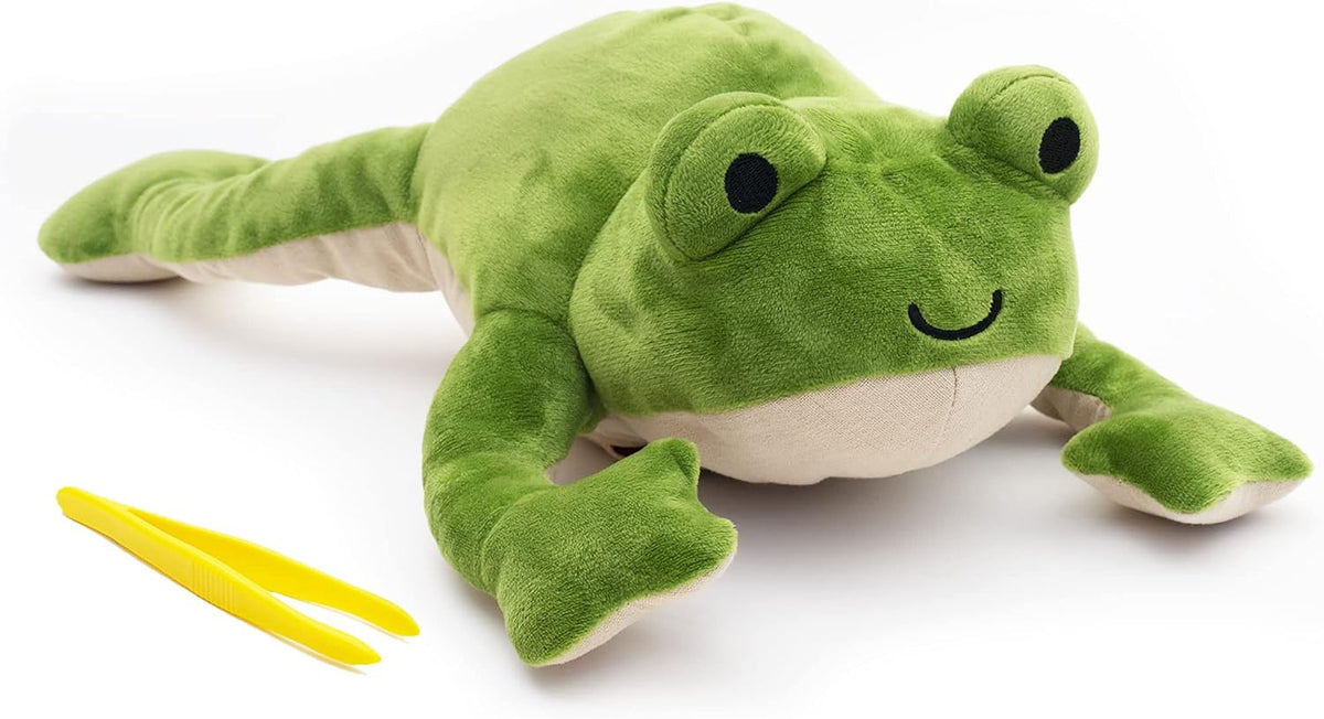 KiwiCo Froggie Lab Dissection Plush Animal Toy 5-Piece Anatomy Set, Ages 3+