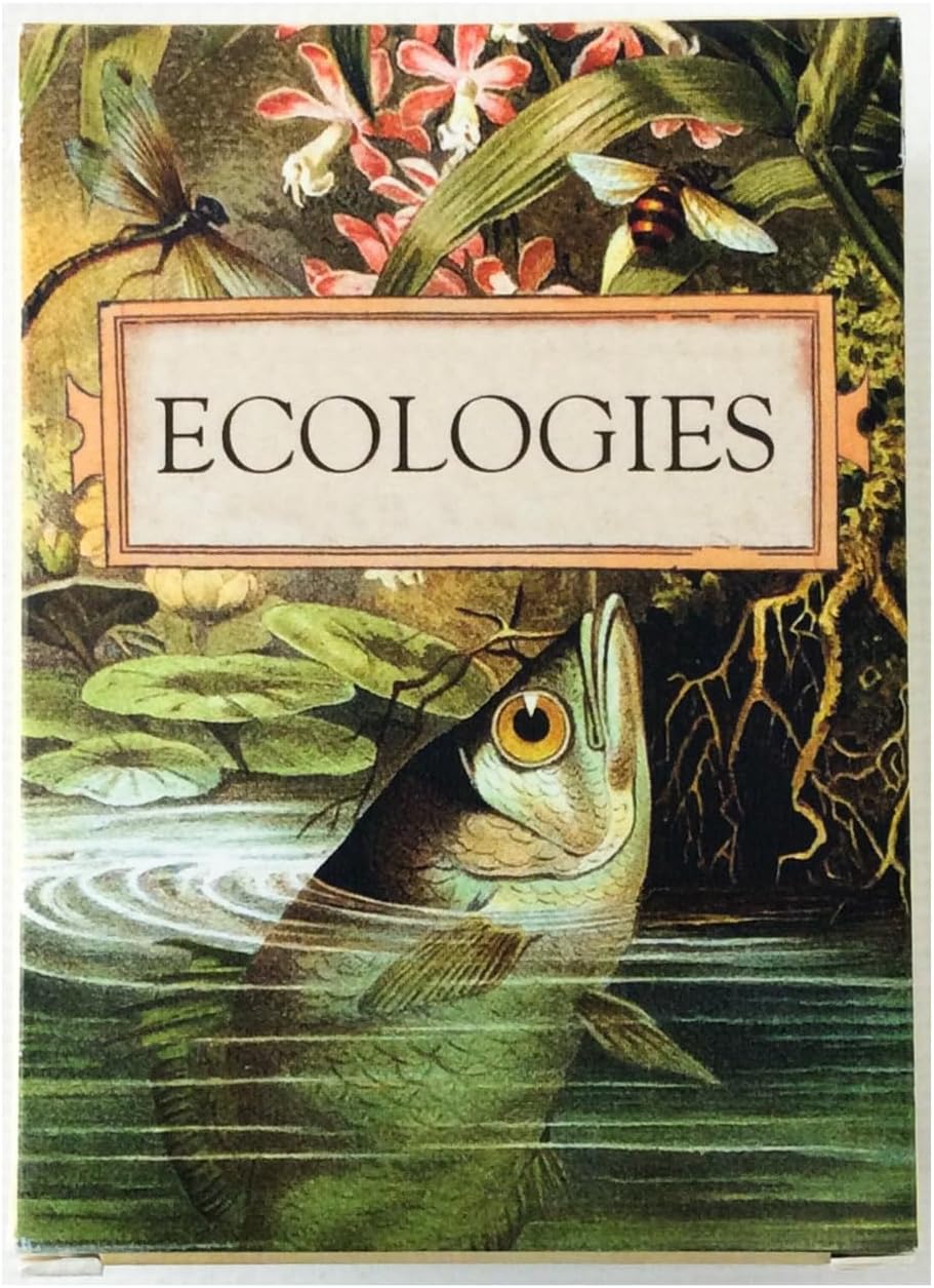 Montrose: Ecologies Card Game — Build Food Webs Across 7 Biomes (Ages 10+)