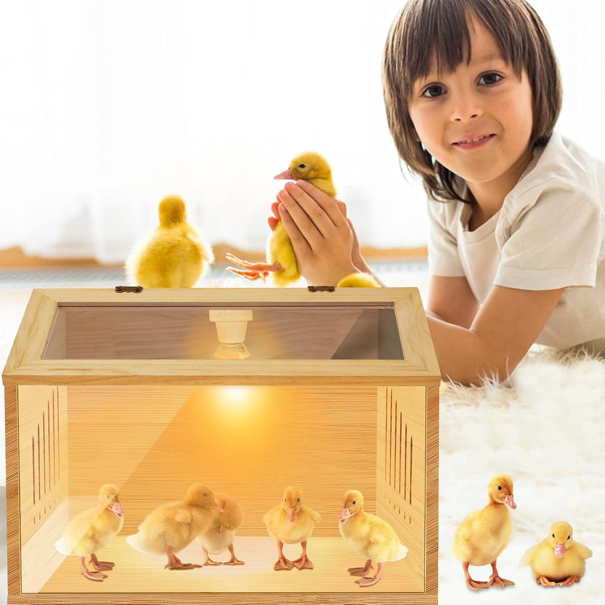 Brooder Box for Chicks，Indoor Smart Wooden Poultry Brooder with Heater, Suitable for 5-7 Newborn Chicks, Ducks, Quail, etc.（12 * 12 * 15.7inch）
