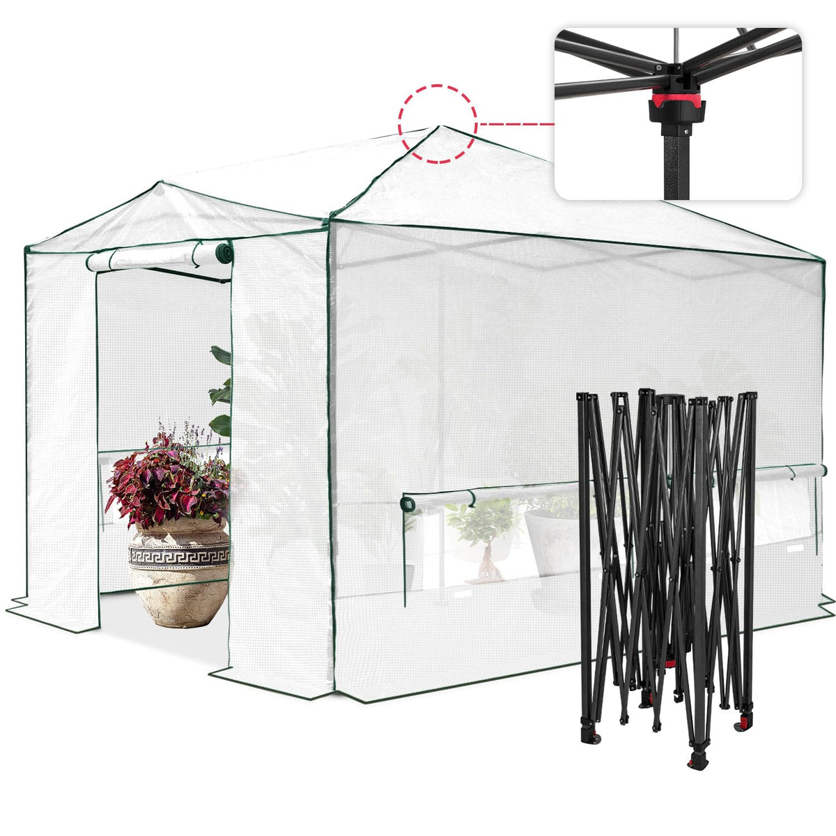 EAGLE PEAK Pop-Up Walk-In Greenhouse (Multiple Sizes)