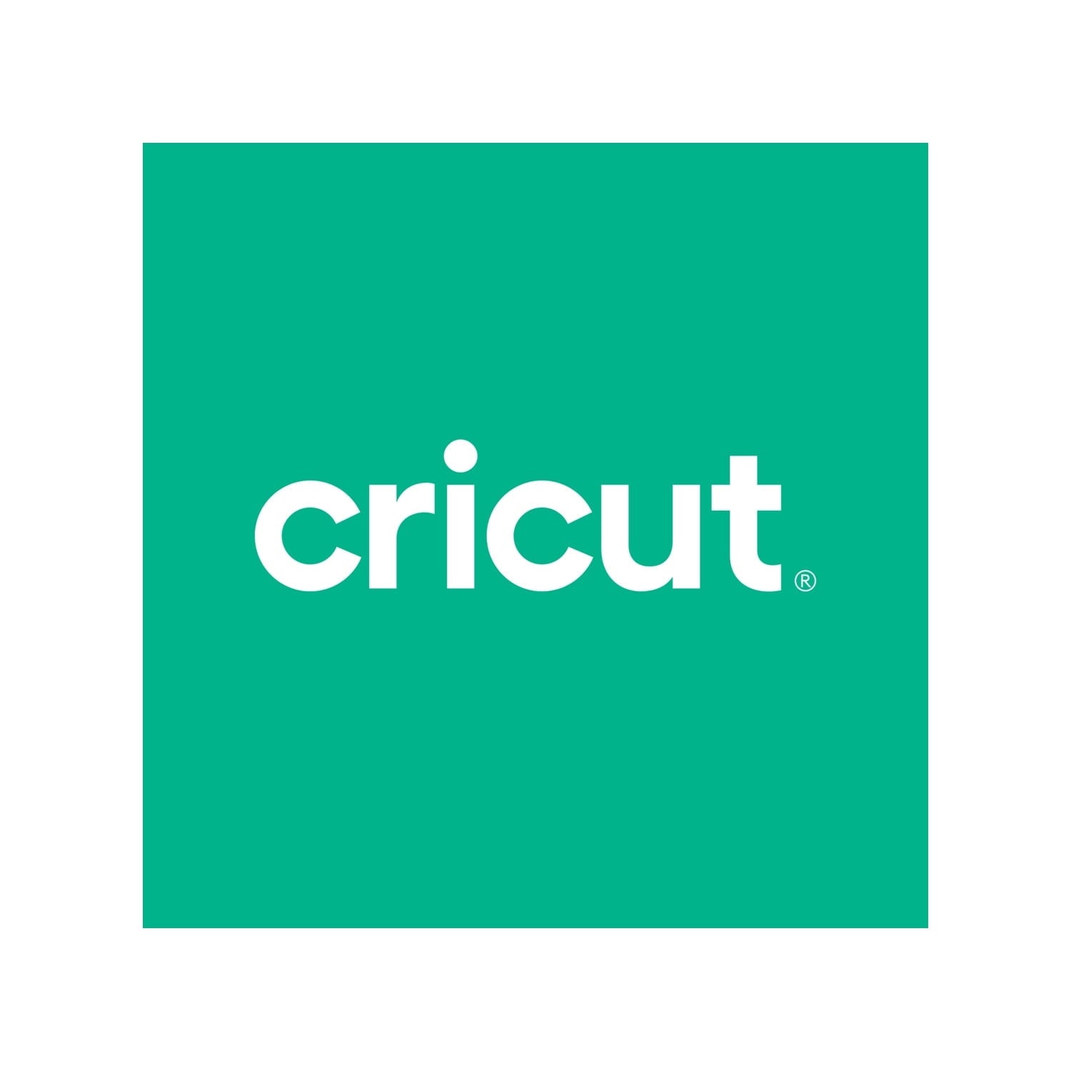(2 pack) Cricut Premium Vinyl True Brushed Permanent, 12" x 48"