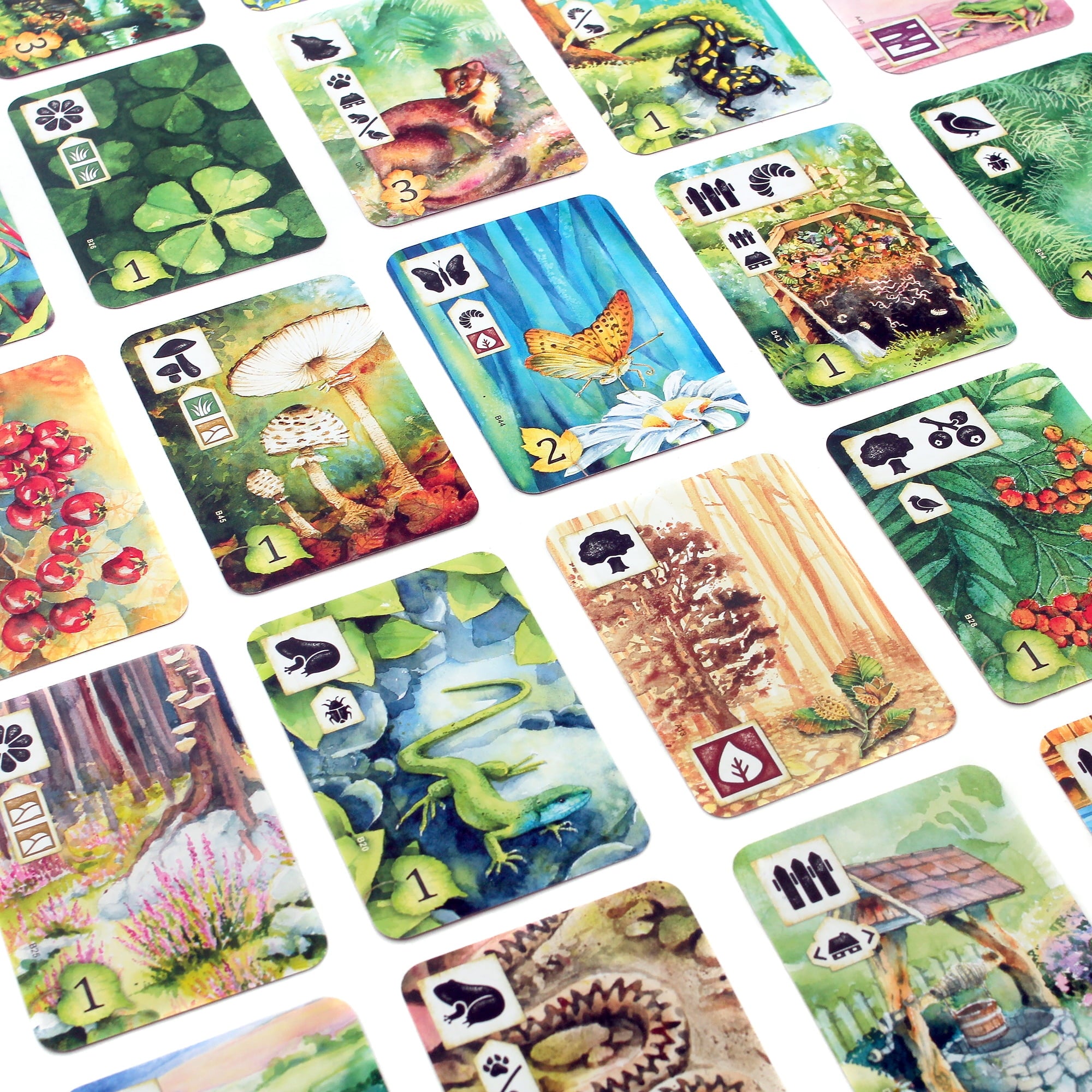 Meadow Family Strategy Board Game for Ages 10+, from Asmodee