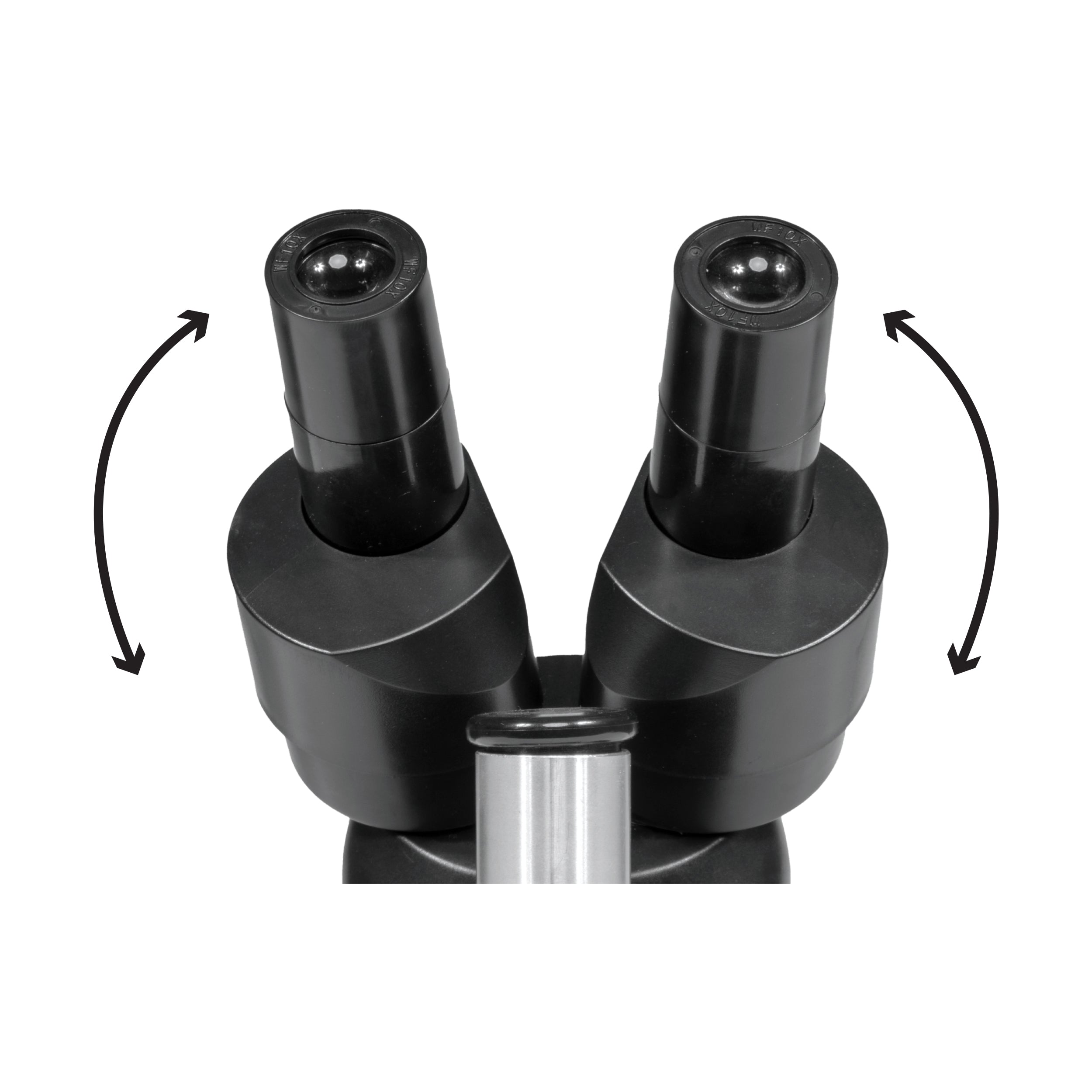 20x Stereo Microscope