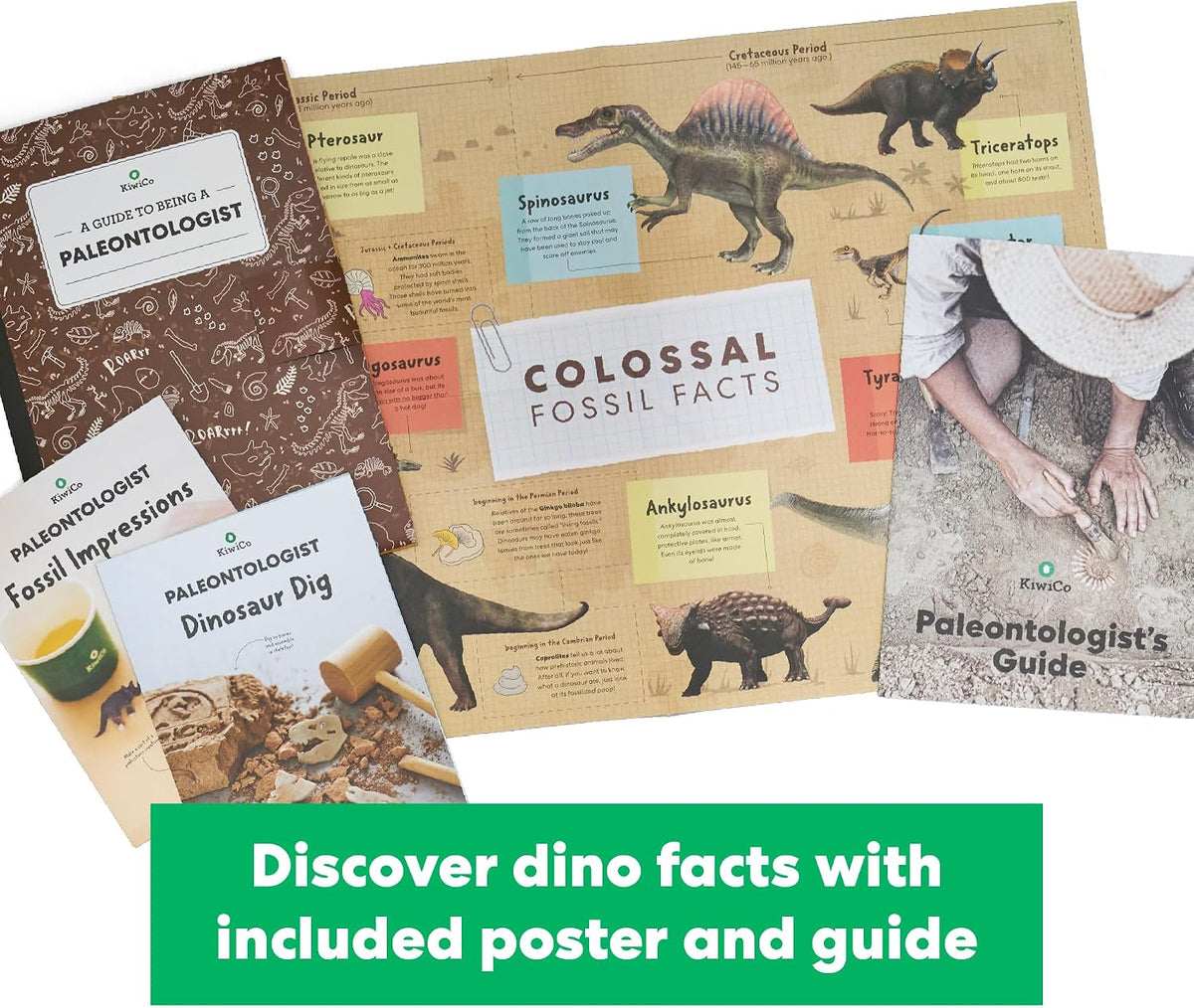 KiwiCo Dinosaur Fossil Dig Kit for Kids Age 6+ | Excavate & Build Dinosaur Skeleton, Make Fossil Impressions | STEM Paleontology Science Kit & Gift with Dinosaur Facts Poster (Pack of 2)