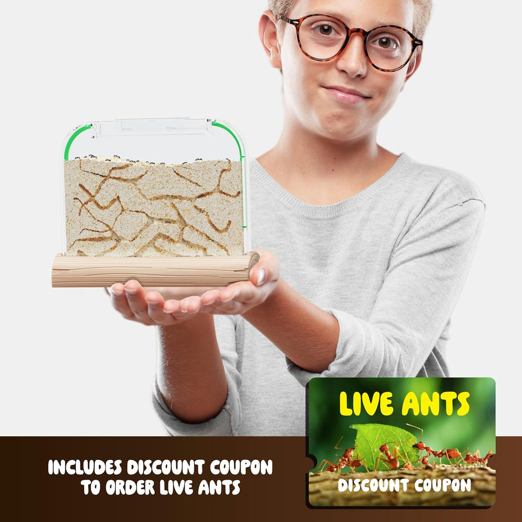 Ant Farm Kit