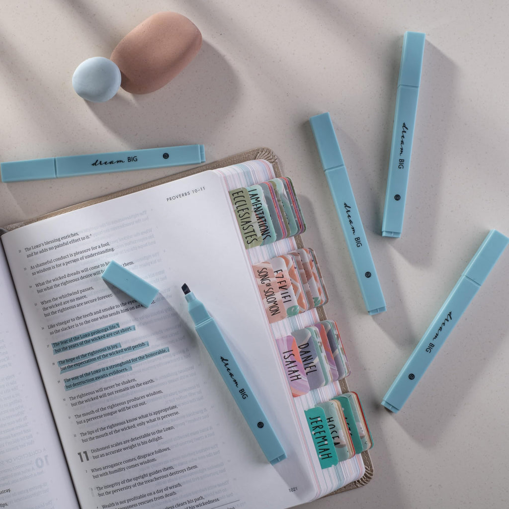 DIVERSEBEE Bible Highlighters with Soft Chisel Tip, No Bleed (Pastel)