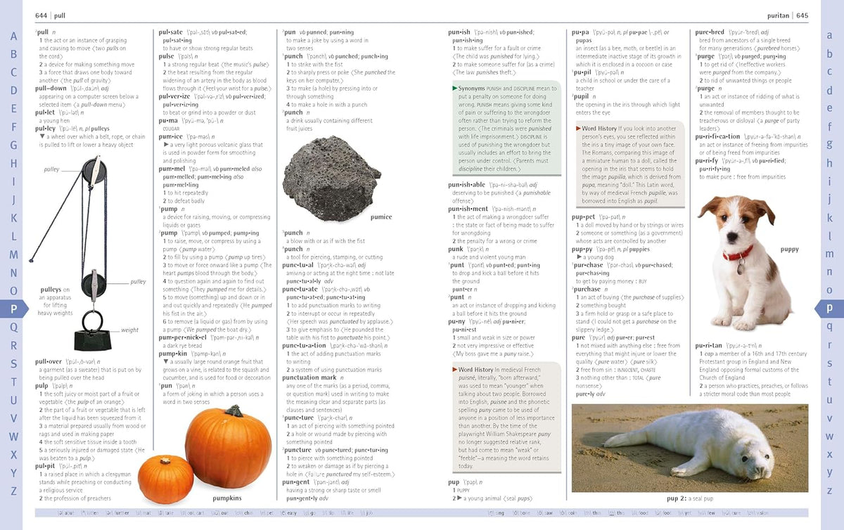 DK: Merriam-Webster Children's Dictionary (Ages 7–9)