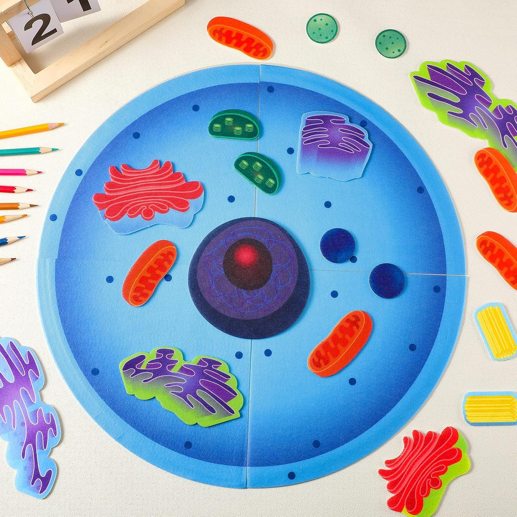 VercanMonth: 3D Felt Animal & Plant Cell Model Kit — 31-Piece Biology Set (Ages 8+)