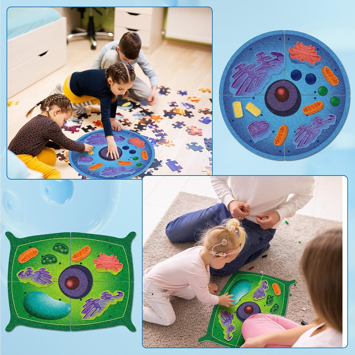 VercanMonth: 3D Felt Animal & Plant Cell Model Kit — 31-Piece Biology Set (Ages 8+)