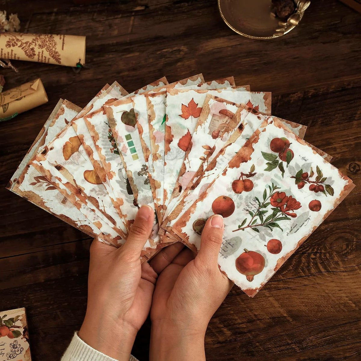 Dizdkizd Nature Botanical Stickers for Journaling, Ephemera Sticker Book, Translucent Washi Sticker for Scrapbooking - 20 Sheets (200 Pieces)