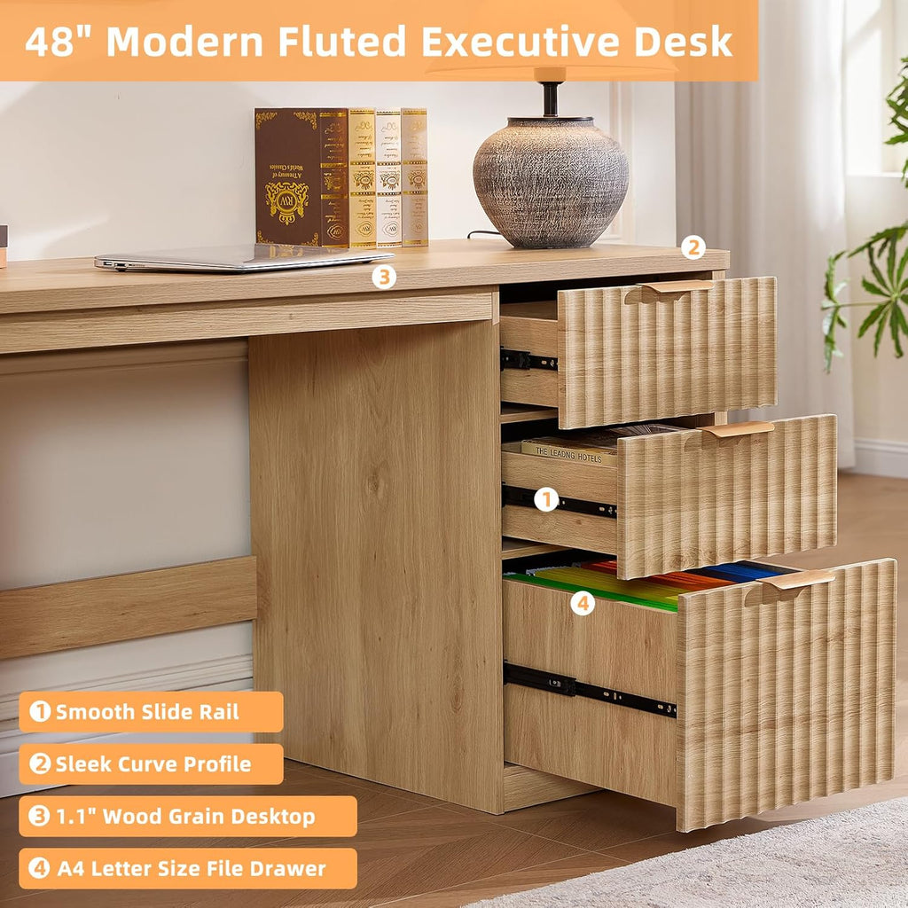 LEYAOYAO Office Desk 48" with 3 Drawers Storage File Cabinet