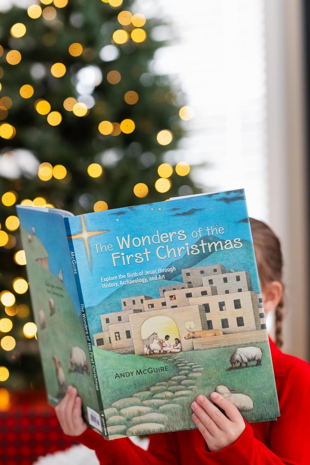 The Wonders of the First Christmas: Explore the Birth of Jesus through History, Archaeology, and Art